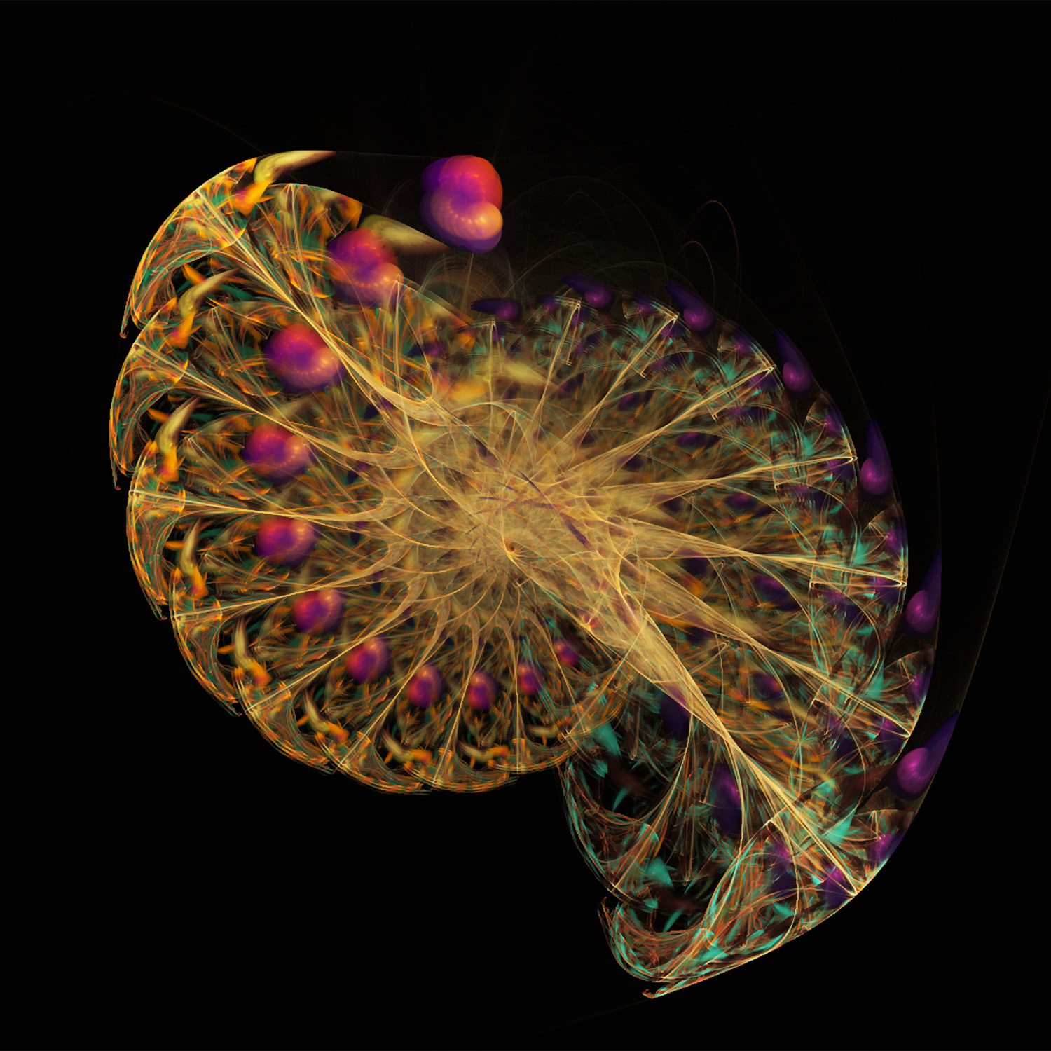 Fractal No. 127 © Kelly Naylor 2009