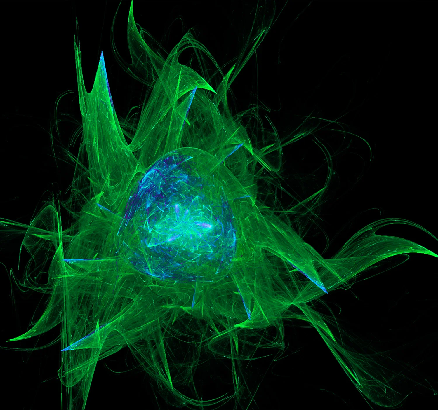 Fractal No. 122 © Kelly Naylor 2009
