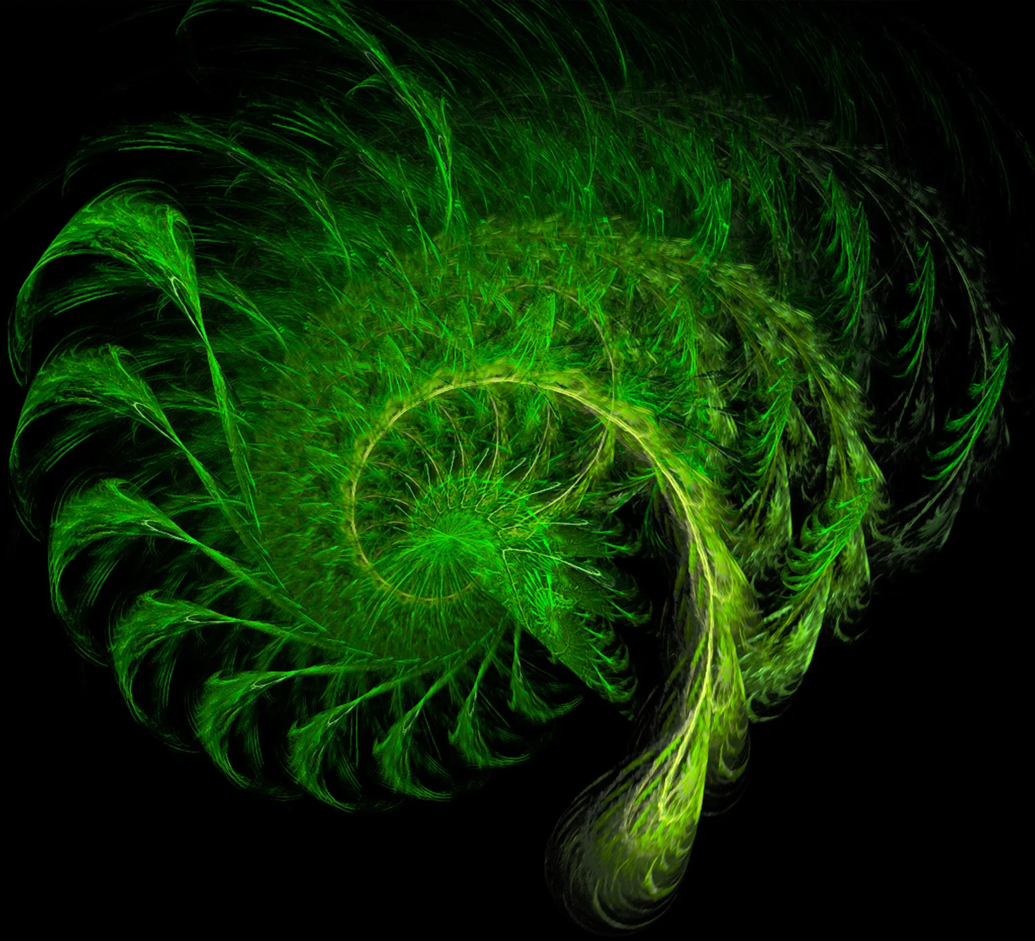 Fractal No. 116 © Kelly Naylor 2009