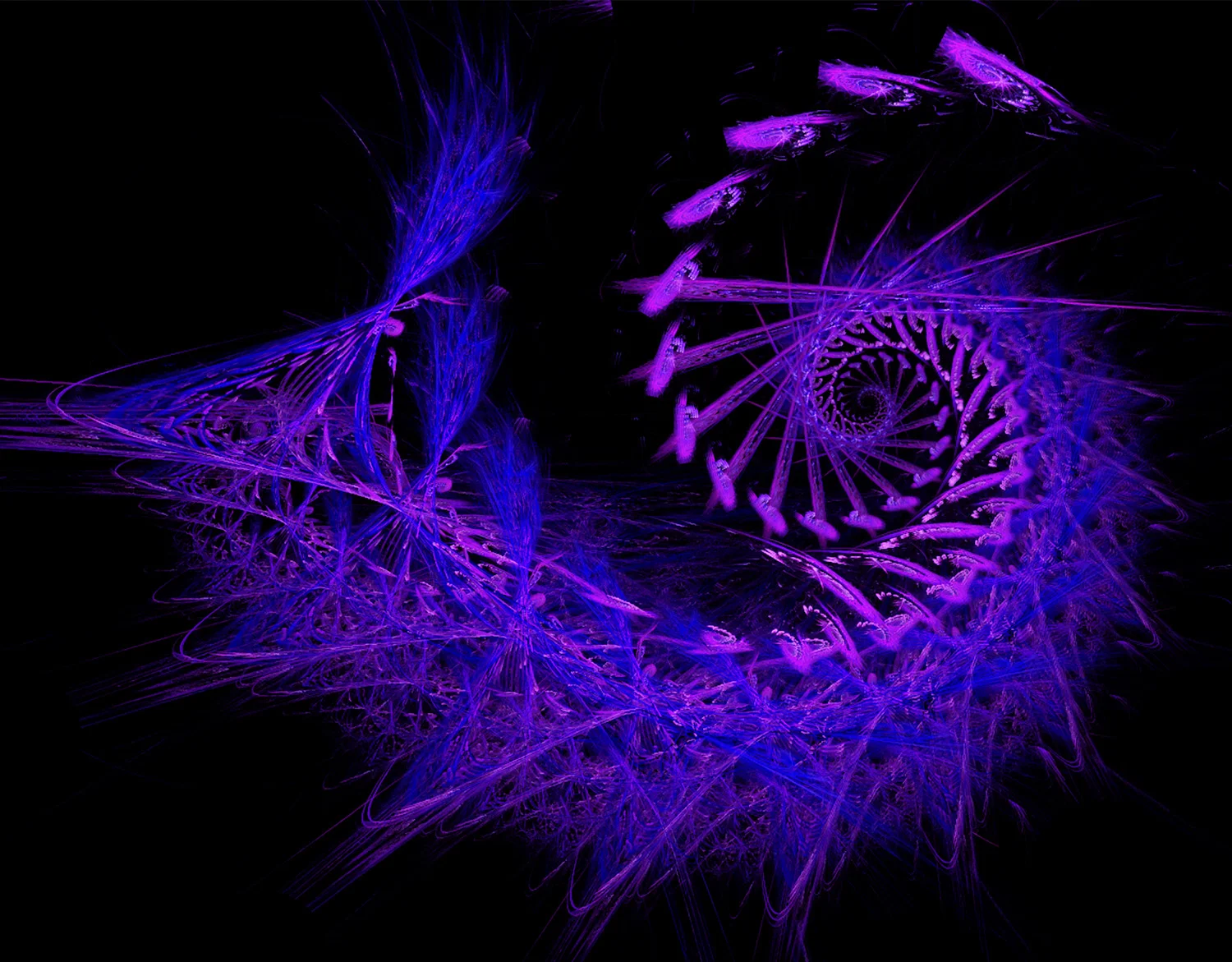 Fractal No. 115 © Kelly Naylor 2009