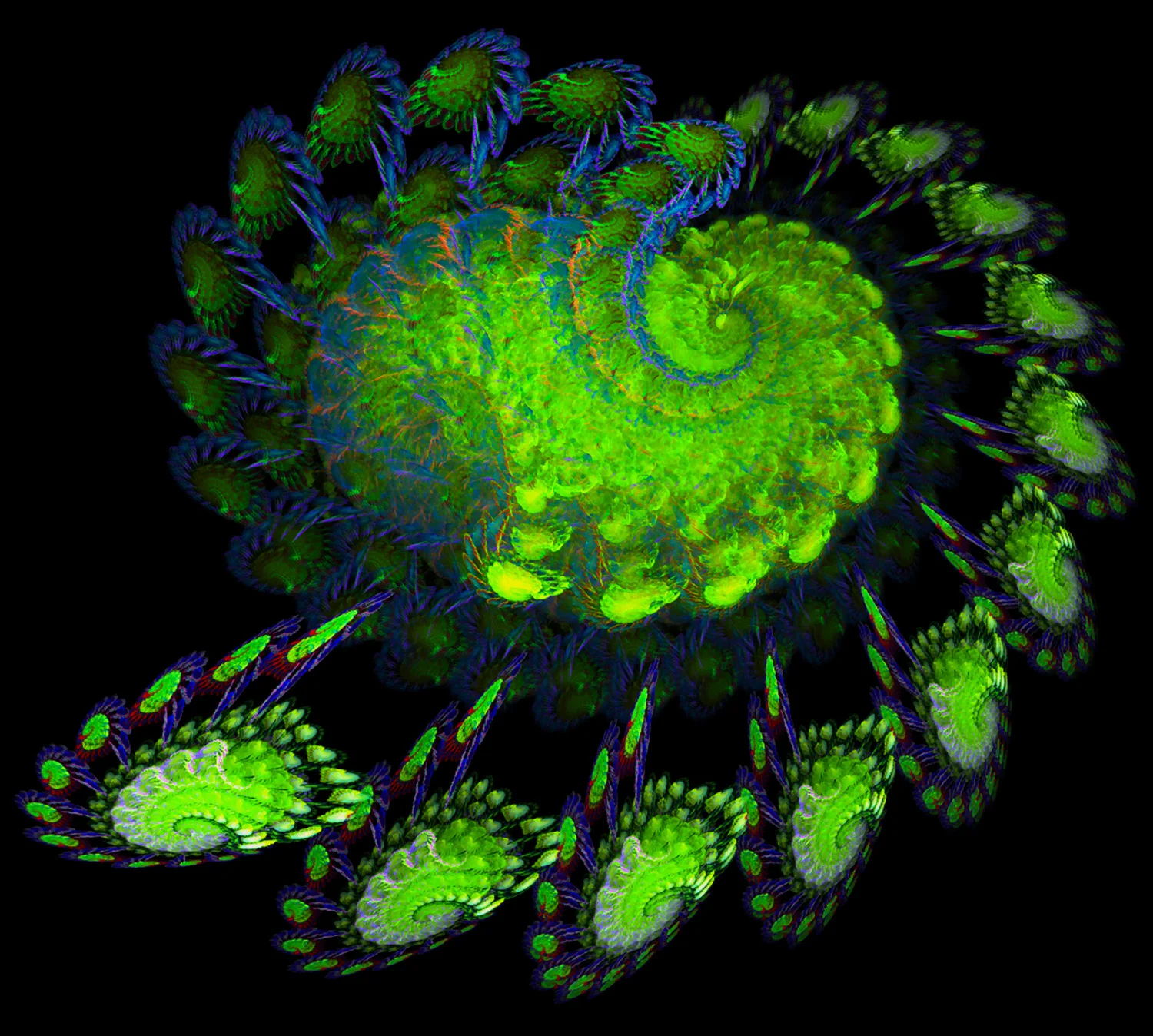 Fractal No. 113 © Kelly Naylor 2009