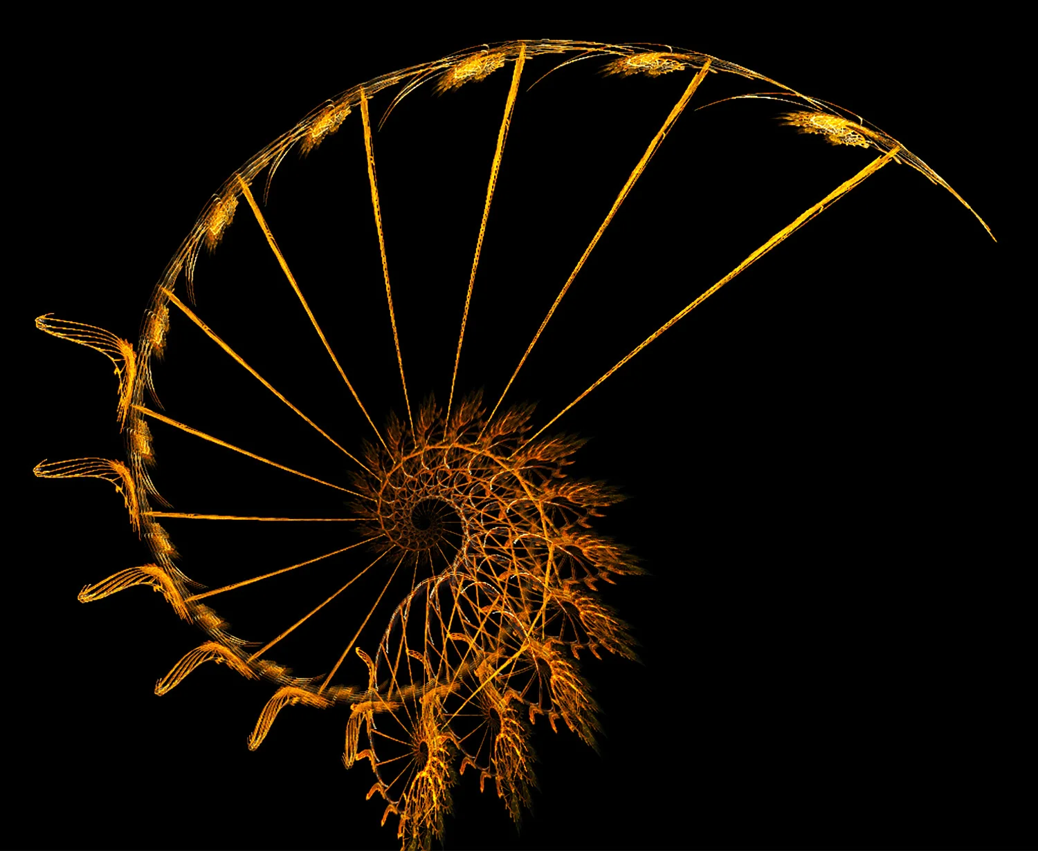 Fractal No. 108 © Kelly Naylor 2009
