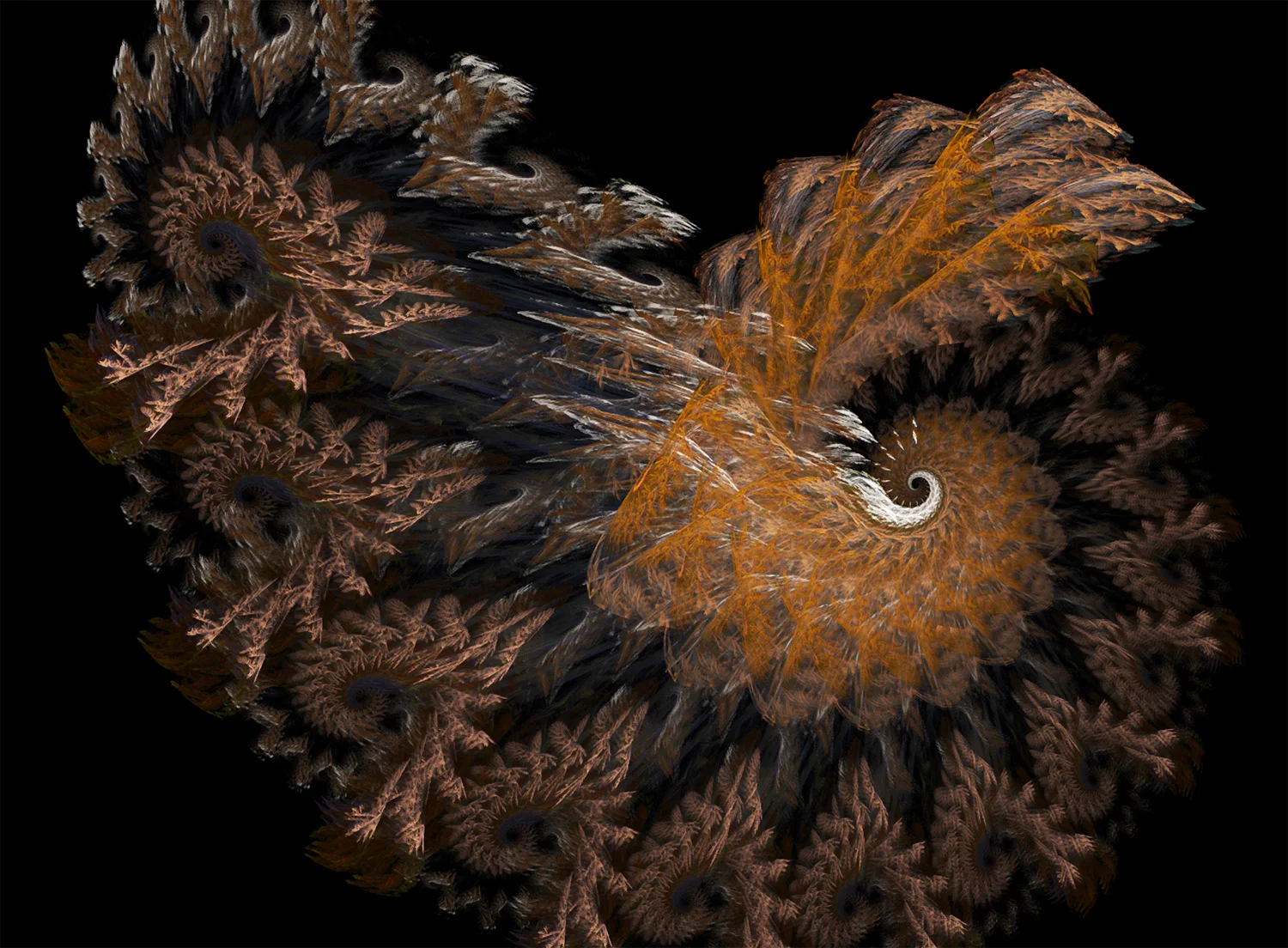 Fractal No. 106 © Kelly Naylor 2009