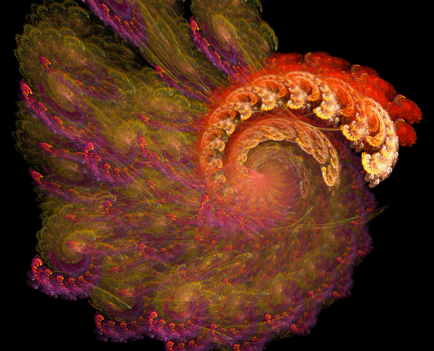 Fractal No. 103 © Kelly Naylor 2009