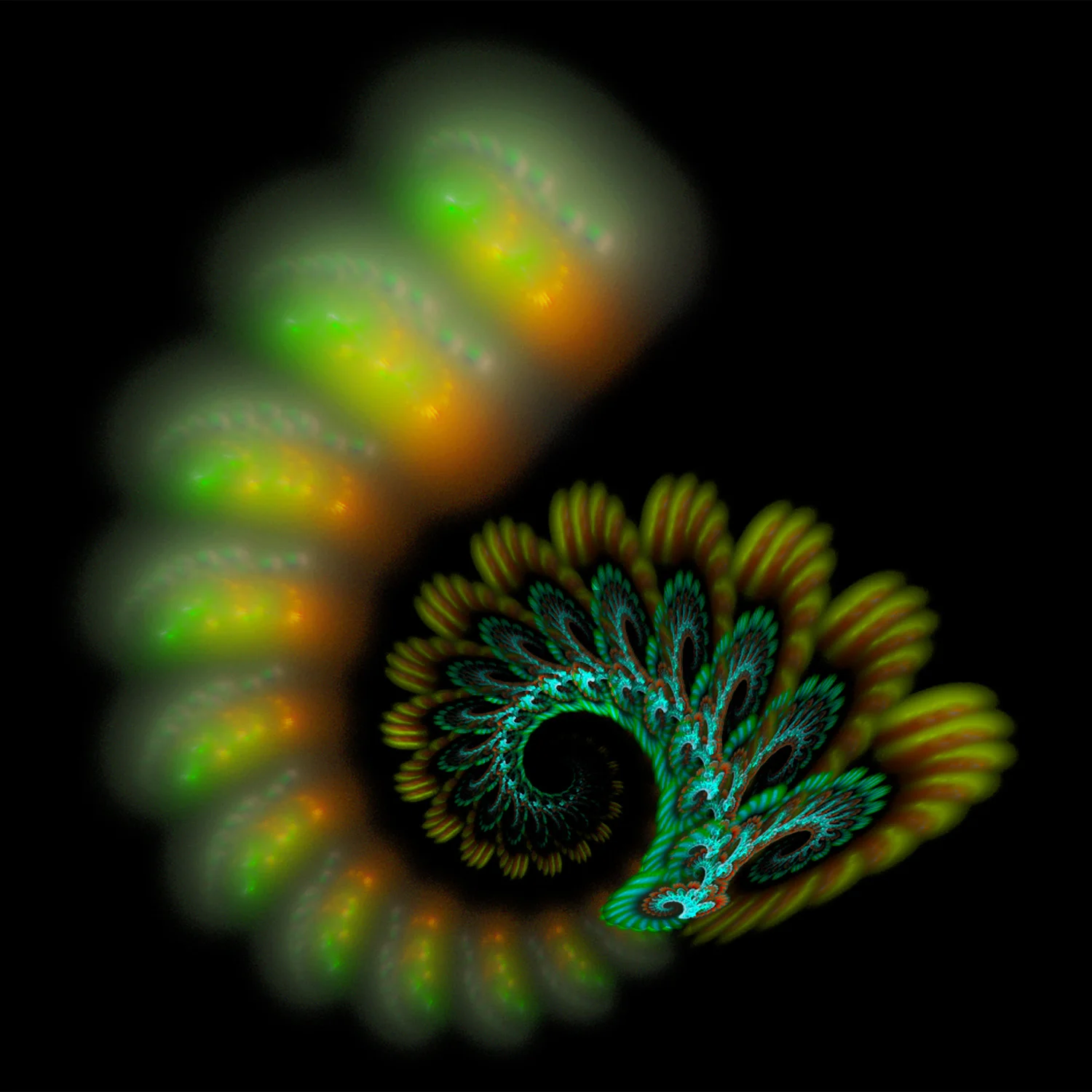 Fractal No. 101 © Kelly Naylor 2009