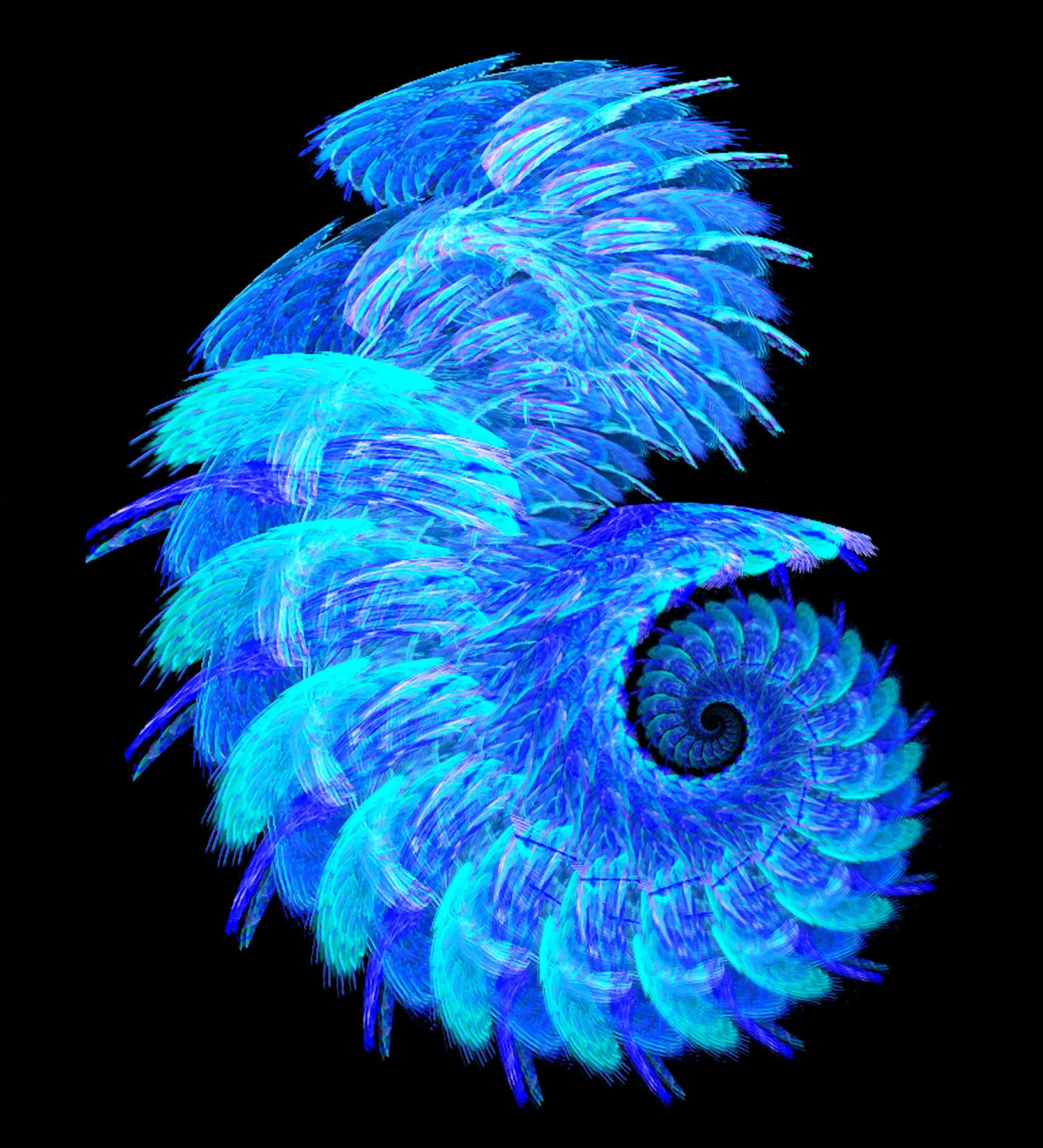 Fractal No. 100 © Kelly Naylor 2009