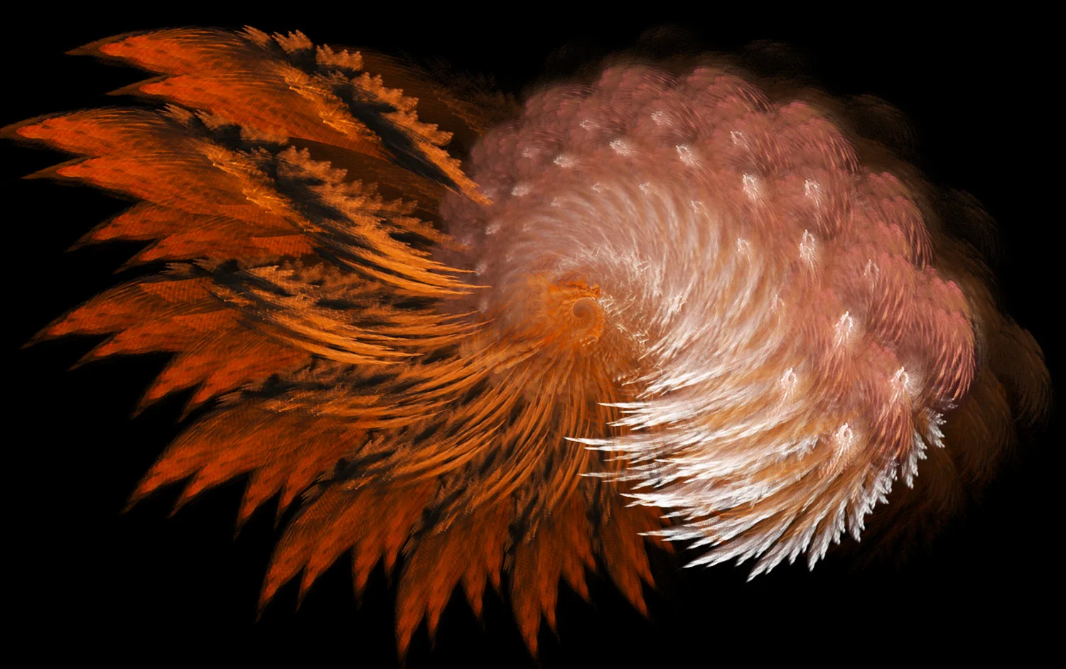 Fractal No. 97 © Kelly Naylor 2009