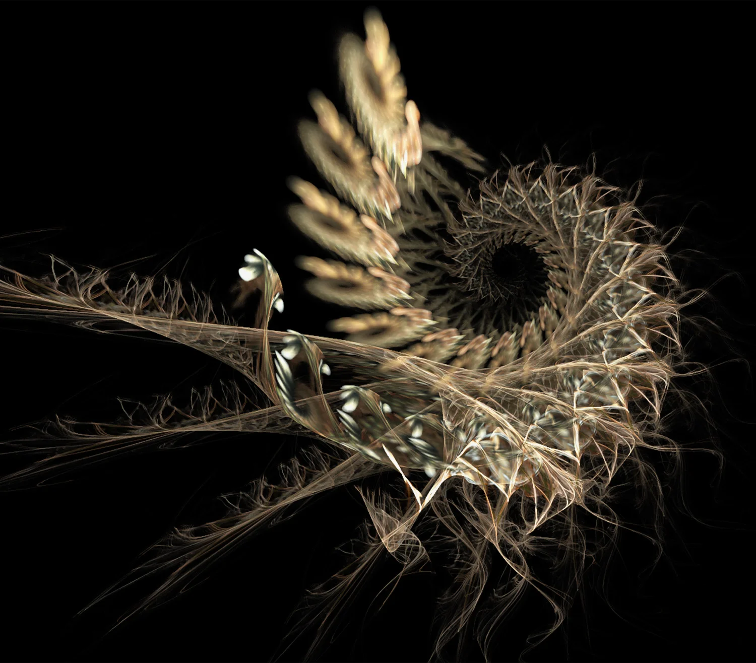 Fractal No. 95 © Kelly Naylor 2009