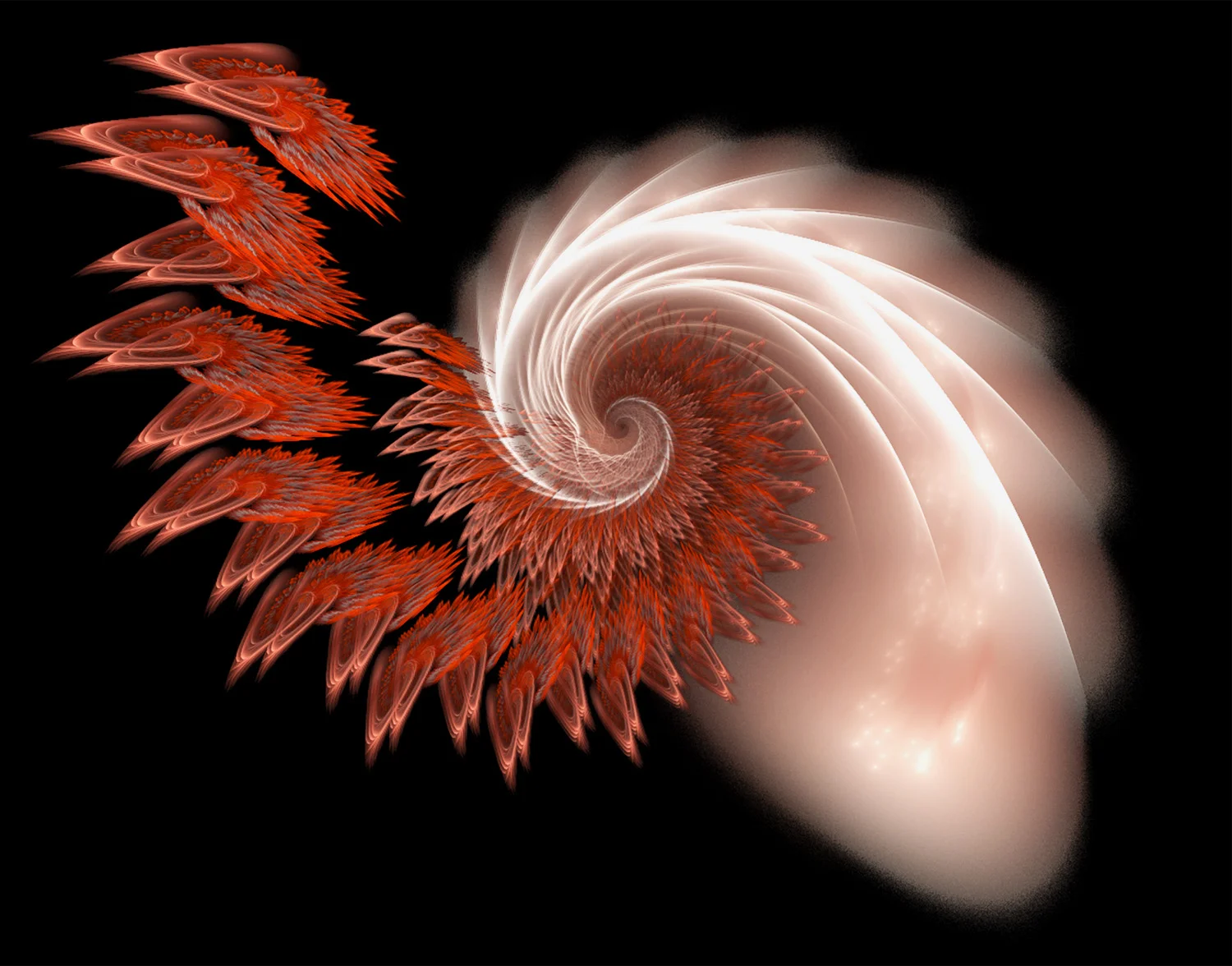 Fractal No. 94 © Kelly Naylor 2009