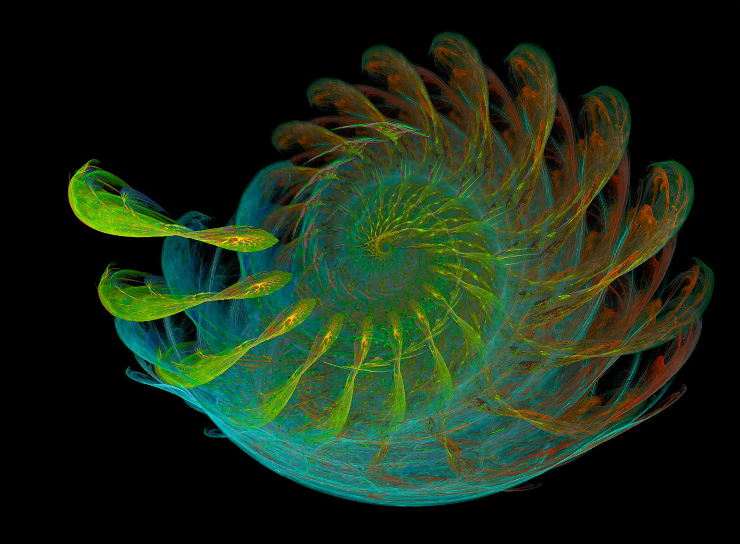 Fractal No. 92 © Kelly Naylor 2009