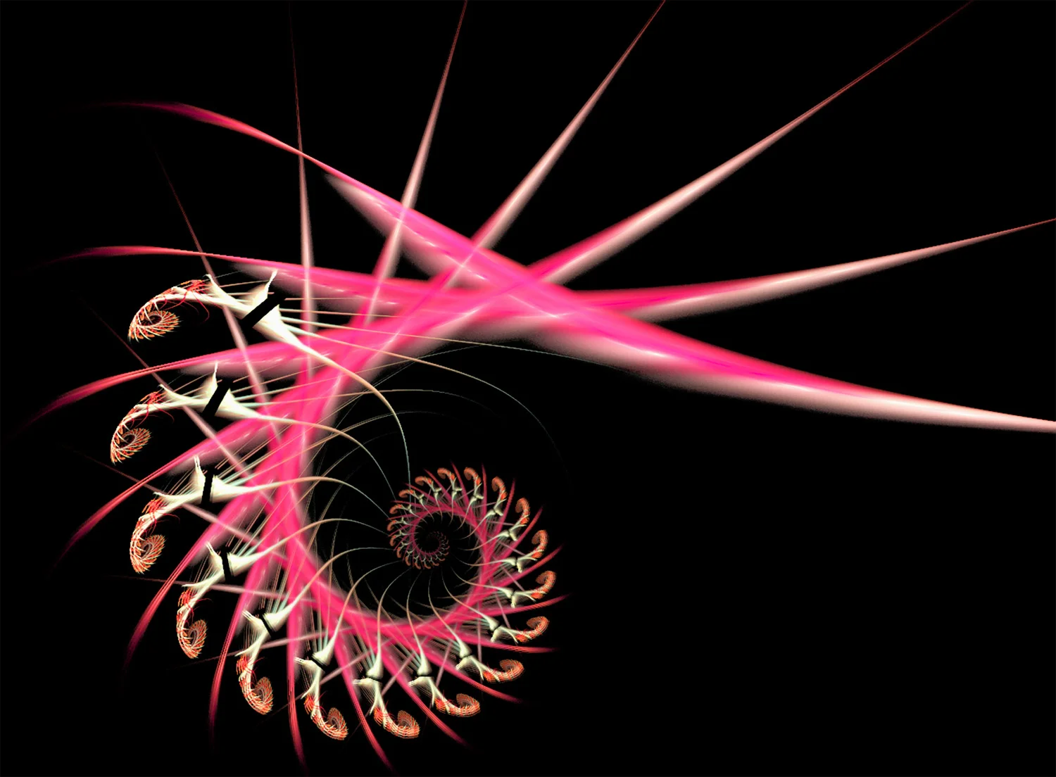 Fractal No. 91 © Kelly Naylor 2009