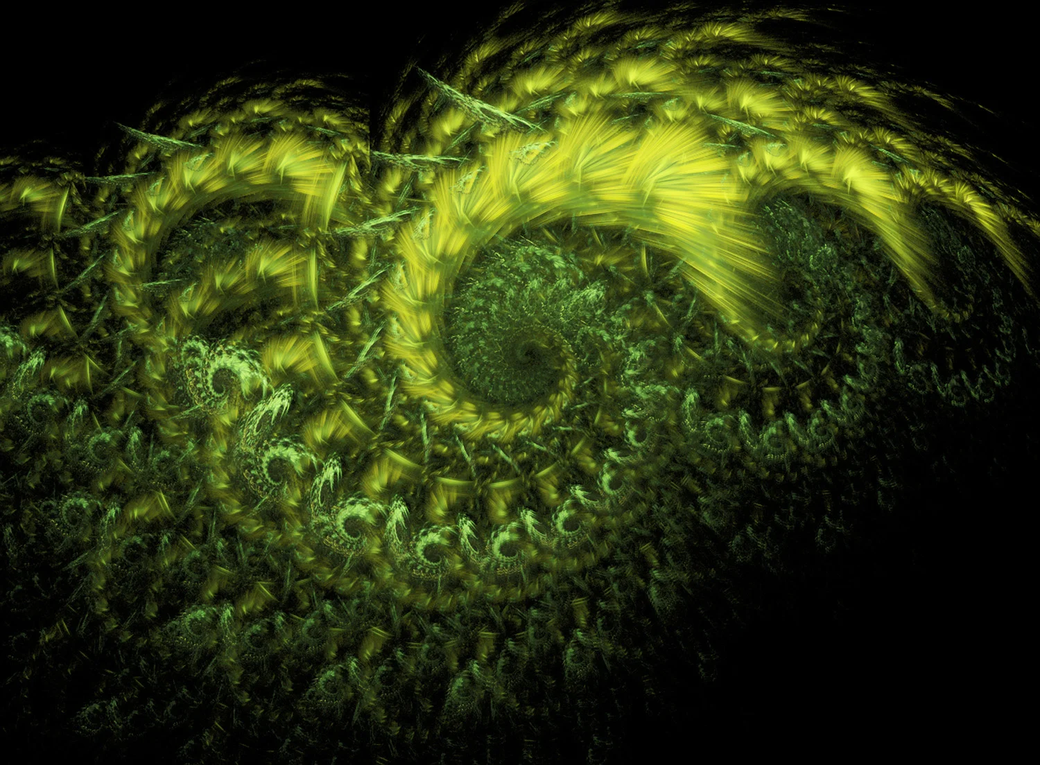Fractal No. 89 © Kelly Naylor 2009