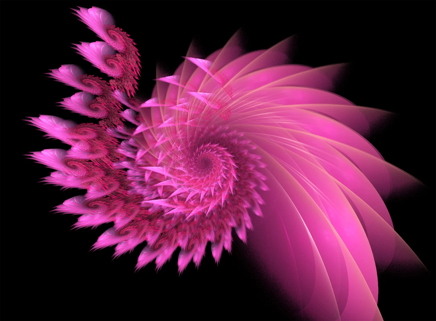 Fractal No. 88 © Kelly Naylor 2009