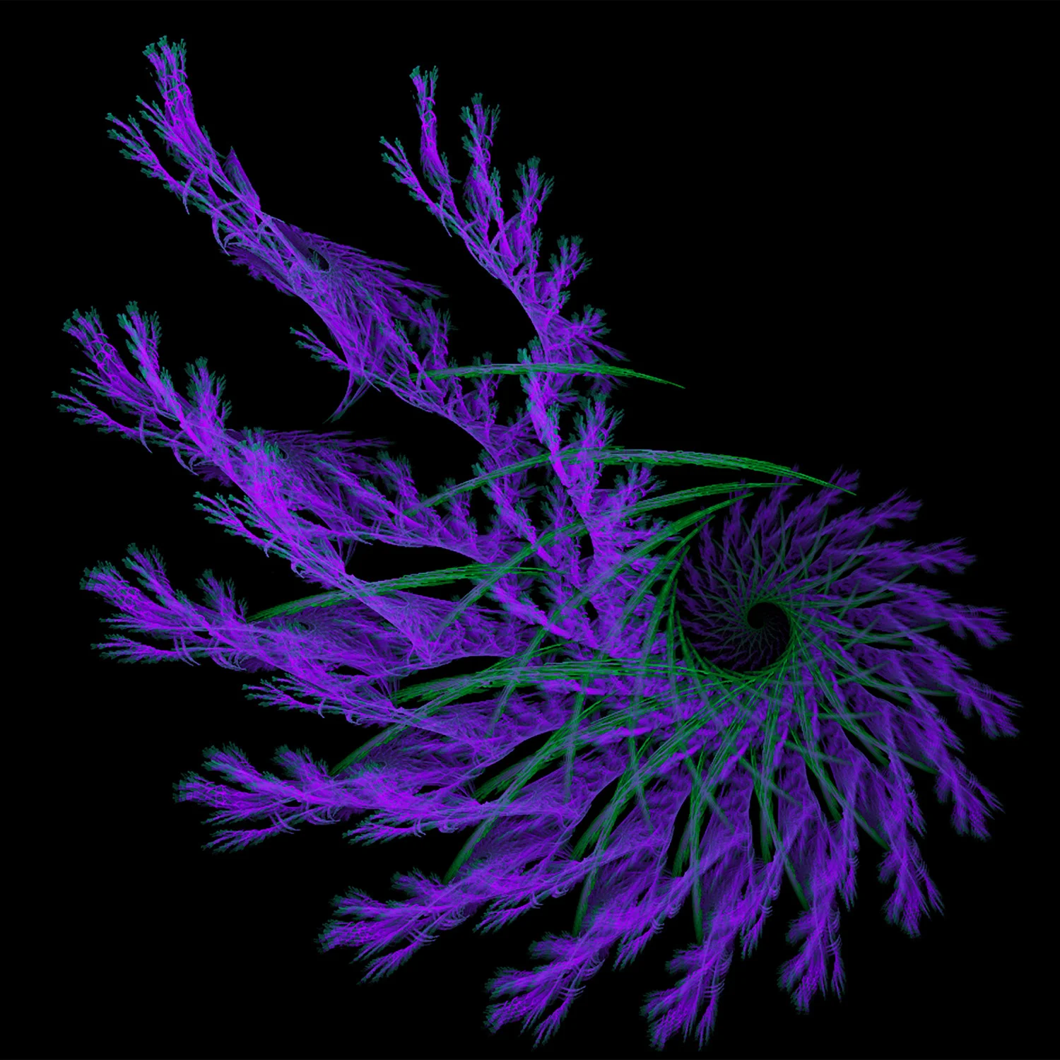 Fractal No. 83 © Kelly Naylor 2009