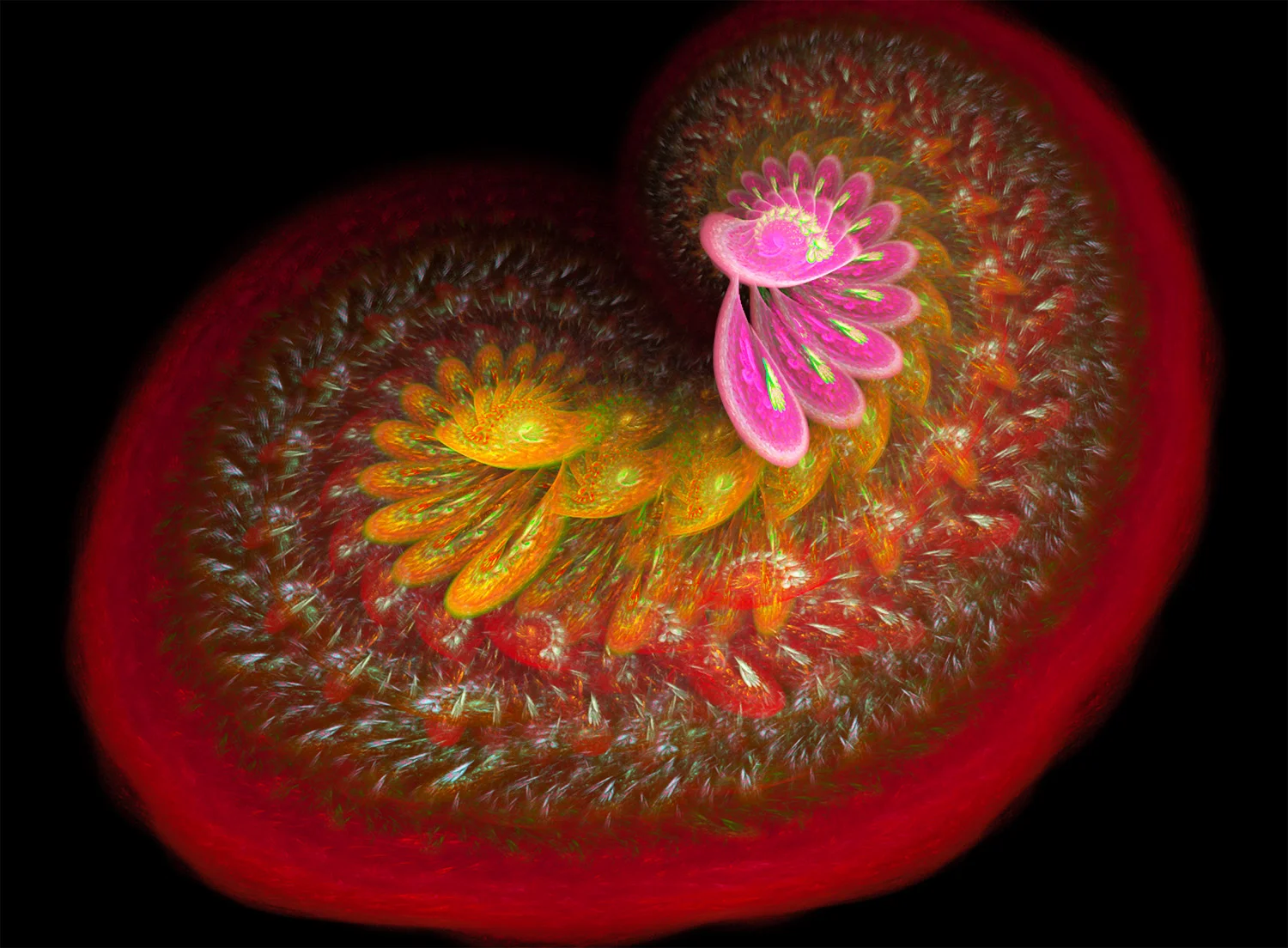 Fractal No. 81 © Kelly Naylor 2009