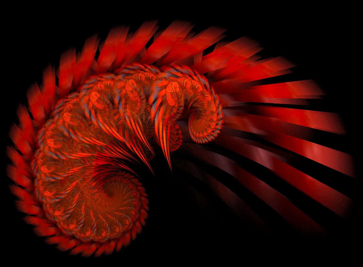 Fractal No. 77 © Kelly Naylor 2009