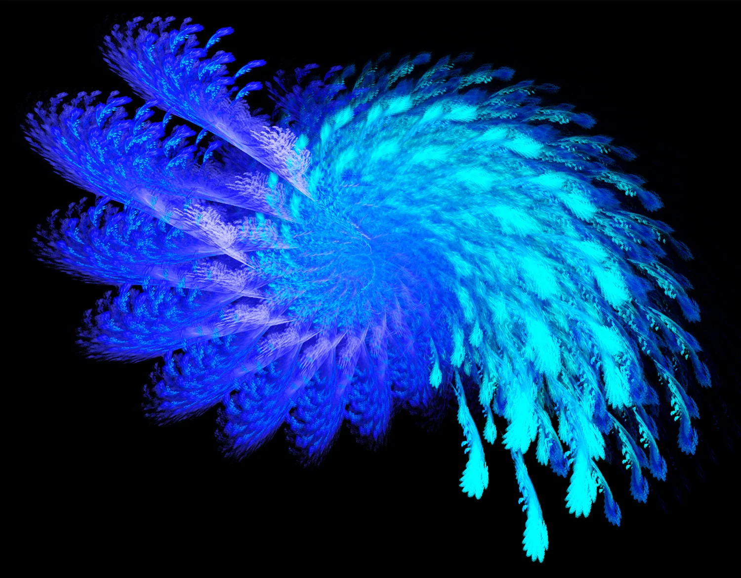 Fractal No. 74 © Kelly Naylor 2009