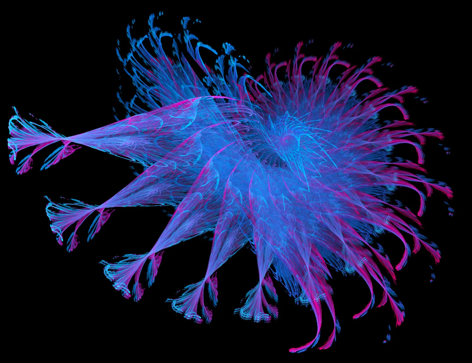 Fractal No. 72 © Kelly Naylor 2009
