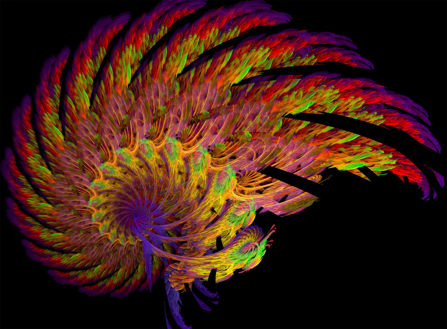 Fractal No. 69 © Kelly Naylor 2009