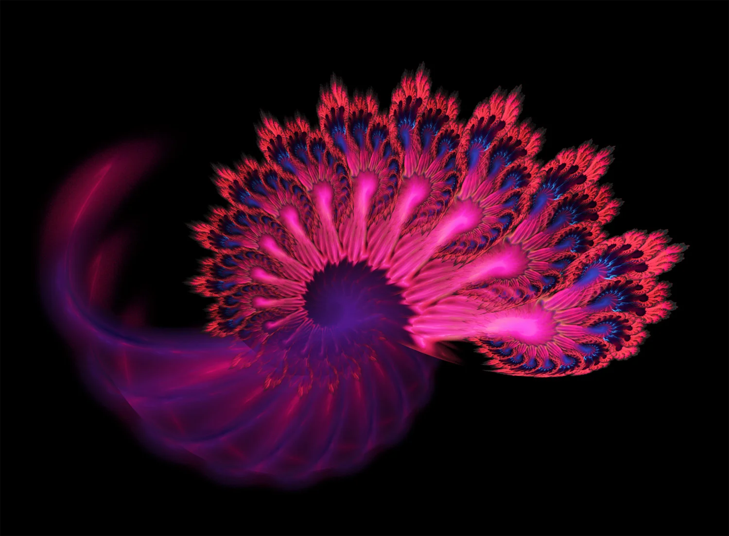 Fractal No. 67 © Kelly Naylor 2009