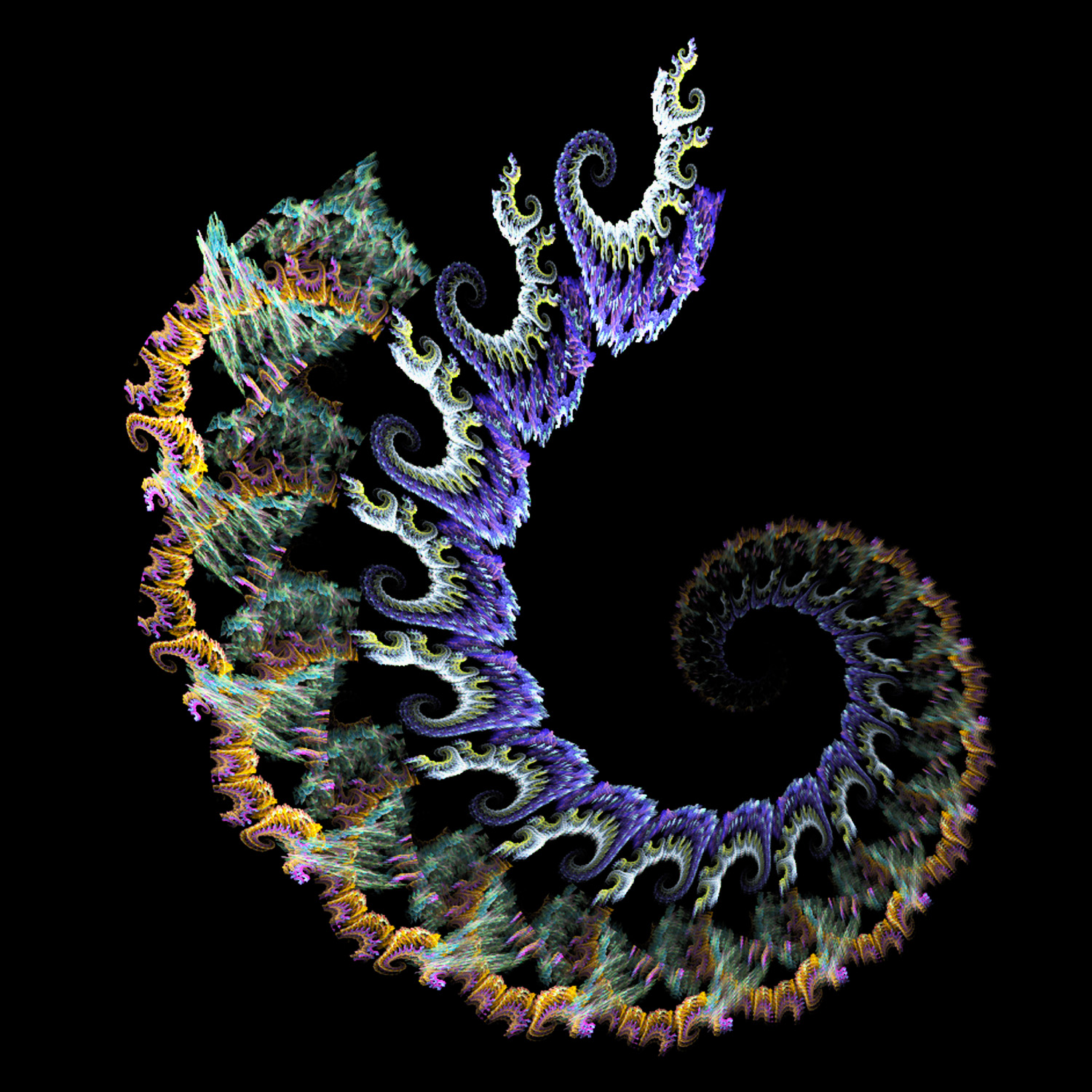 Fractal No. 65 © Kelly Naylor 2009