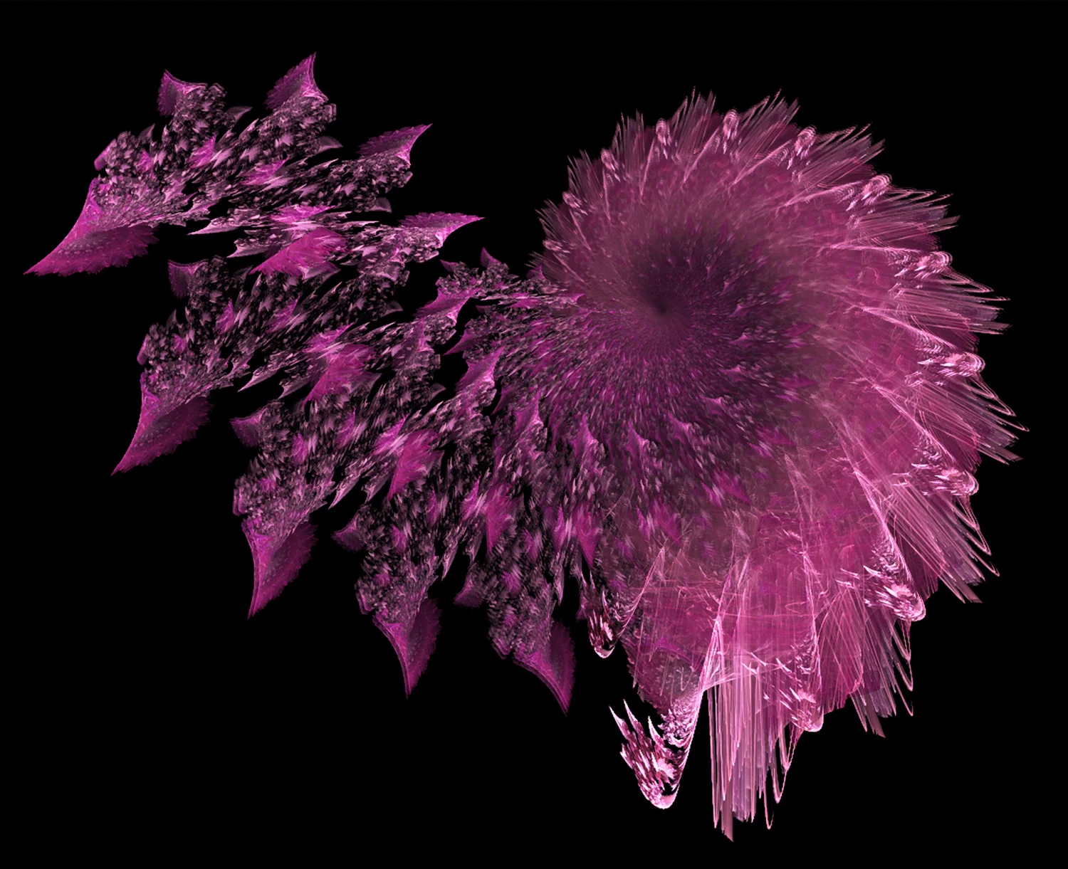 Fractal No. 64 © Kelly Naylor 2009