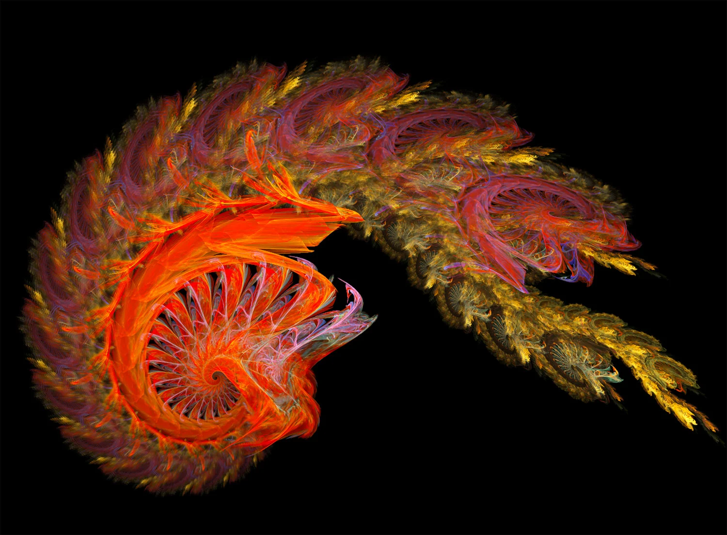 Fractal No. 62 © Kelly Naylor 2009