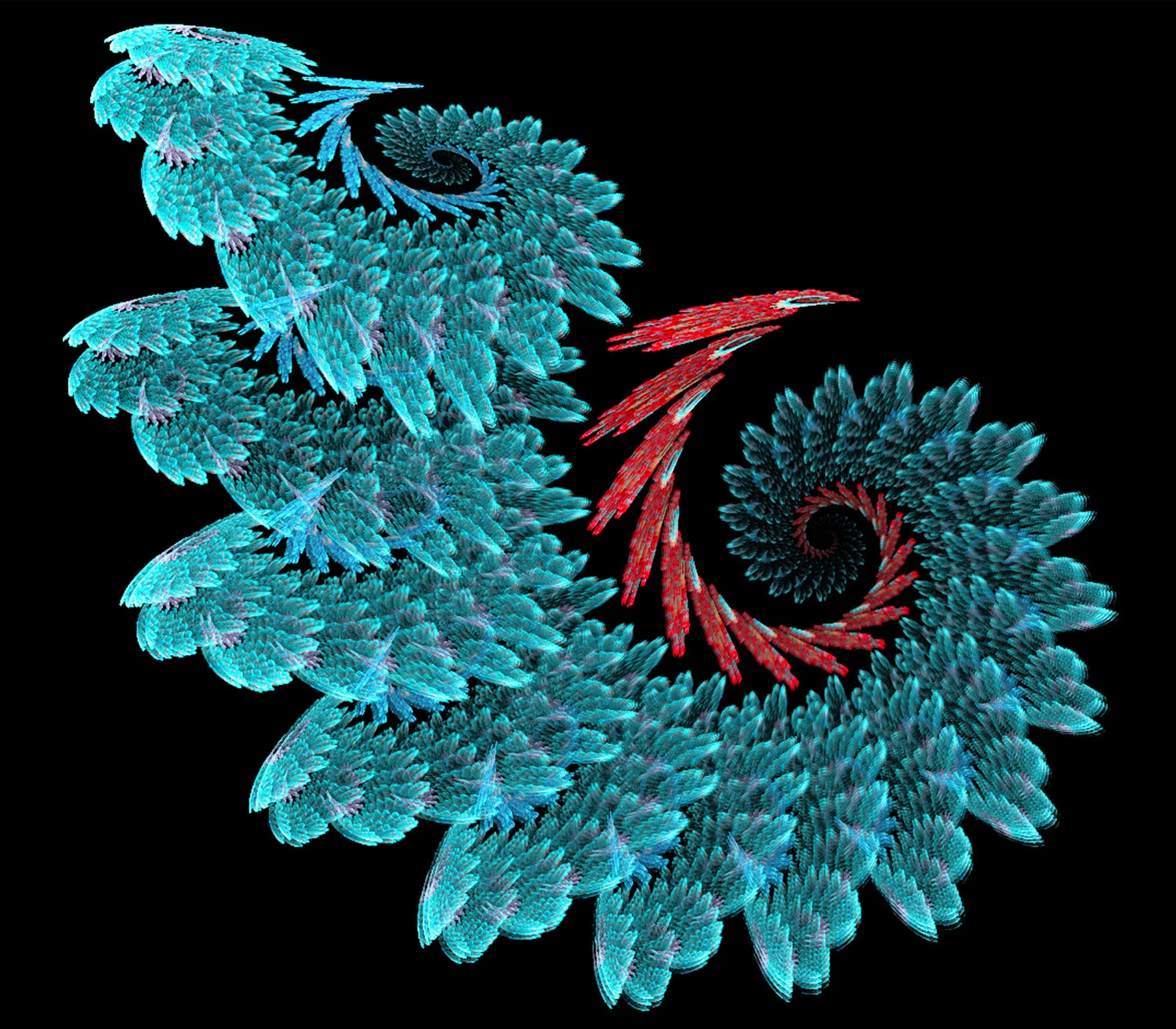 Fractal No. 57 © Kelly Naylor 2009