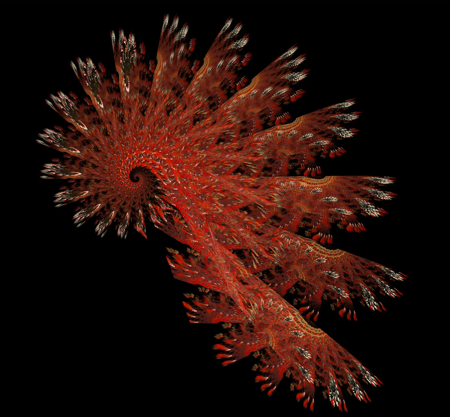 Fractal No. 54 © Kelly Naylor 2009