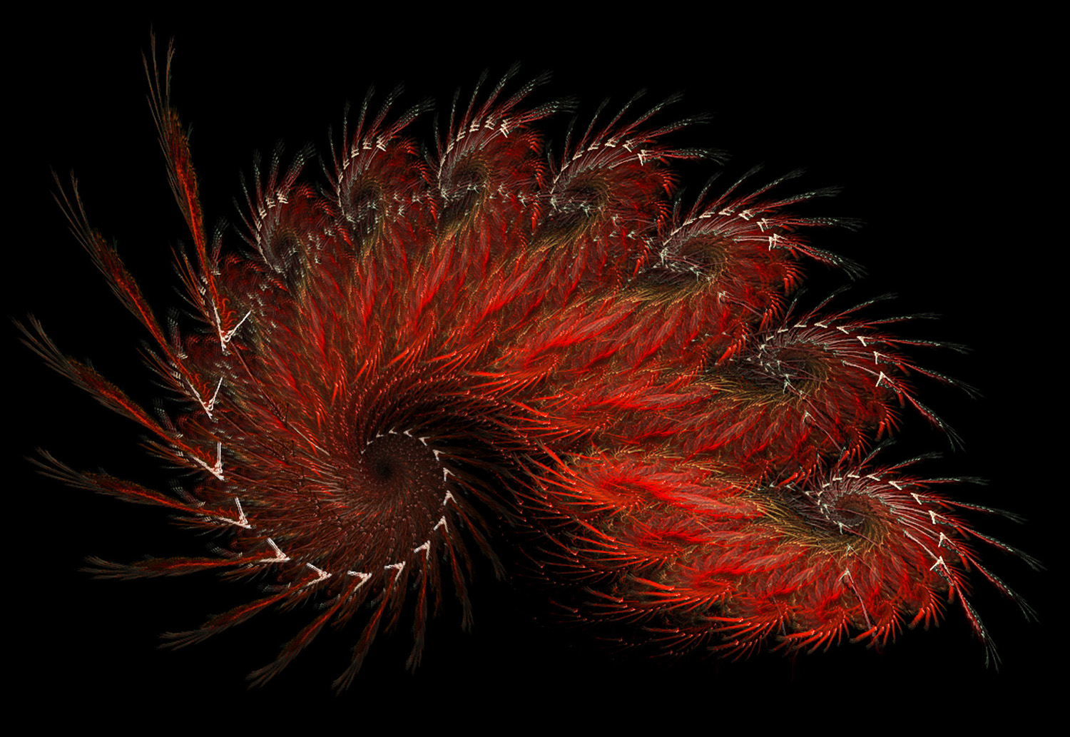 Fractal No. 53 © Kelly Naylor 2009