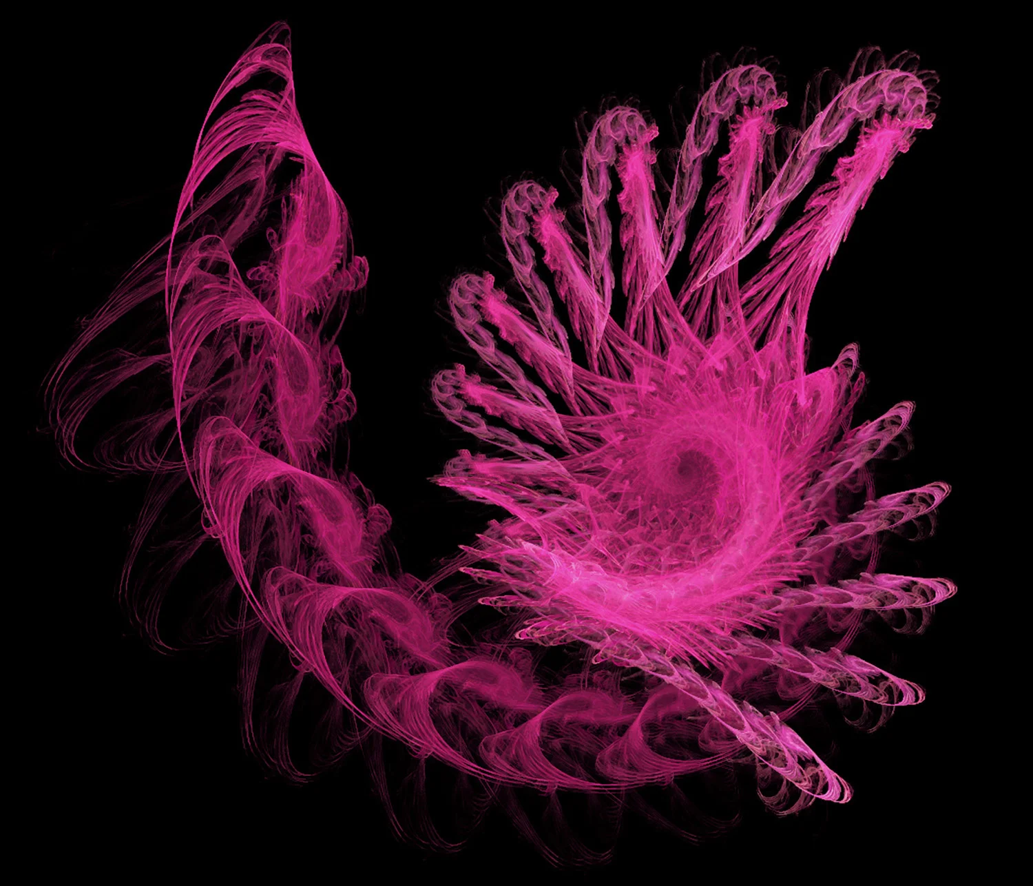 Fractal No. 51 © Kelly Naylor 2009