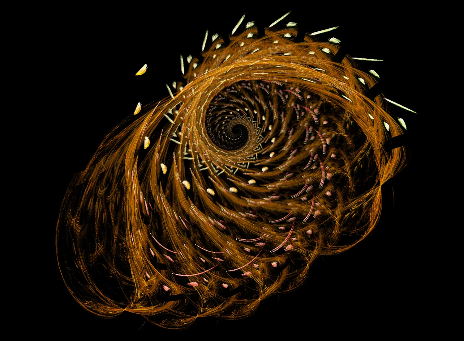 Fractal No. 50 © Kelly Naylor 2009
