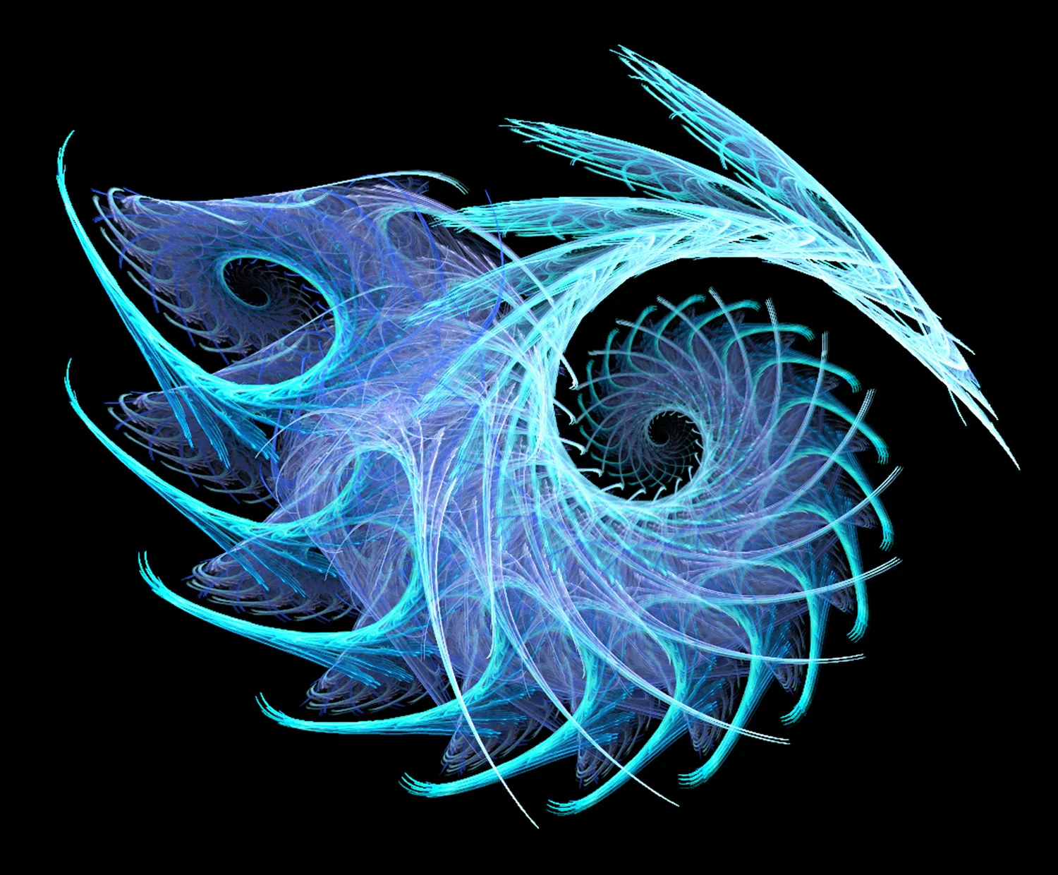 Fractal No. 49 © Kelly Naylor 2009