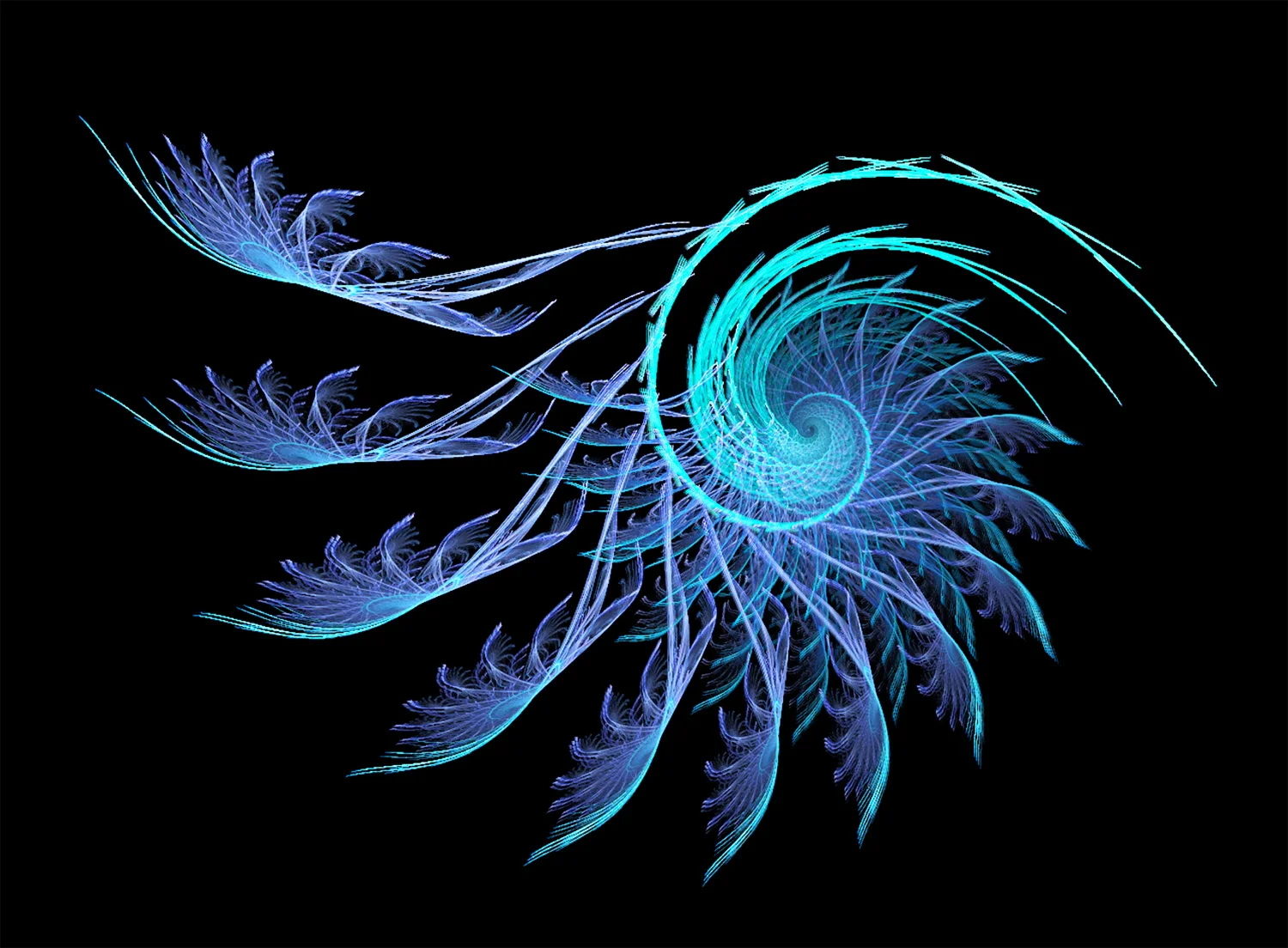 Fractal No. 48 © Kelly Naylor 2009