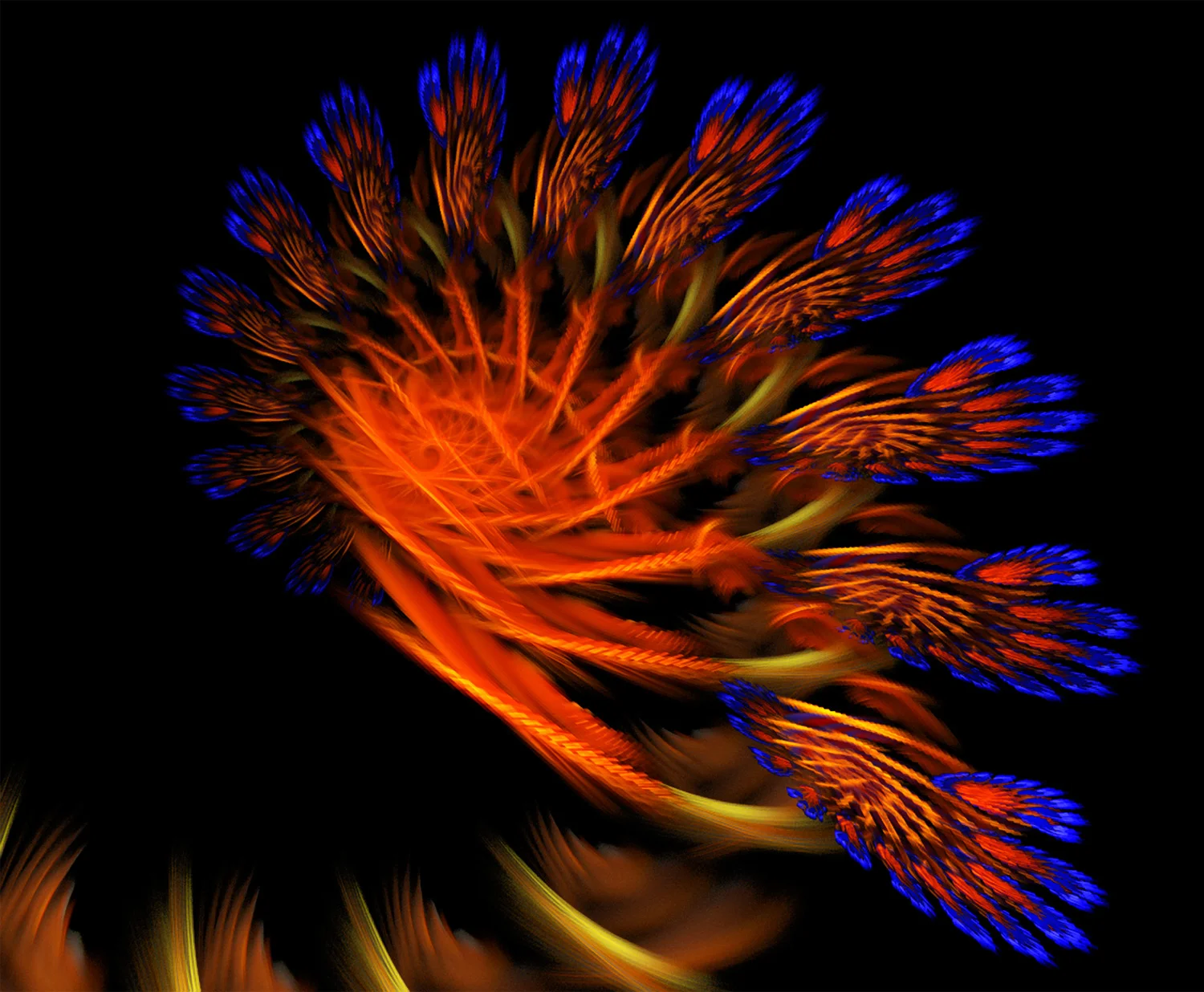 Fractal No. 47 © Kelly Naylor 2009