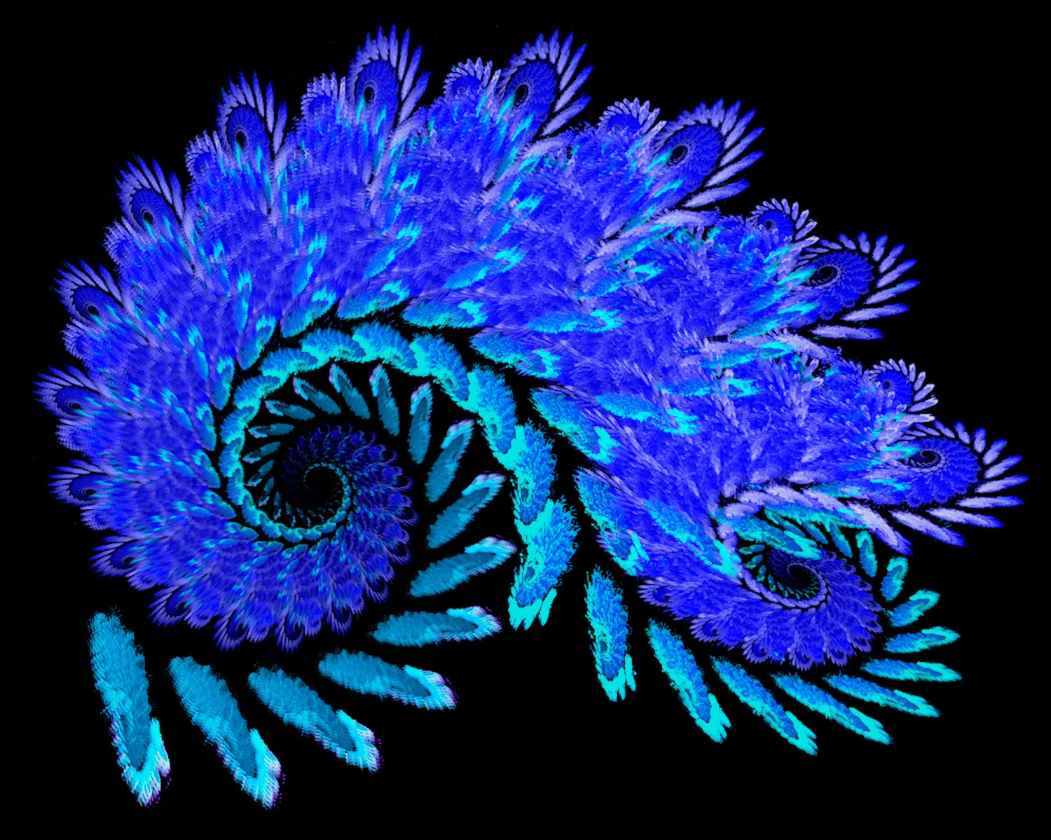 Fractal No. 45 © Kelly Naylor 2009