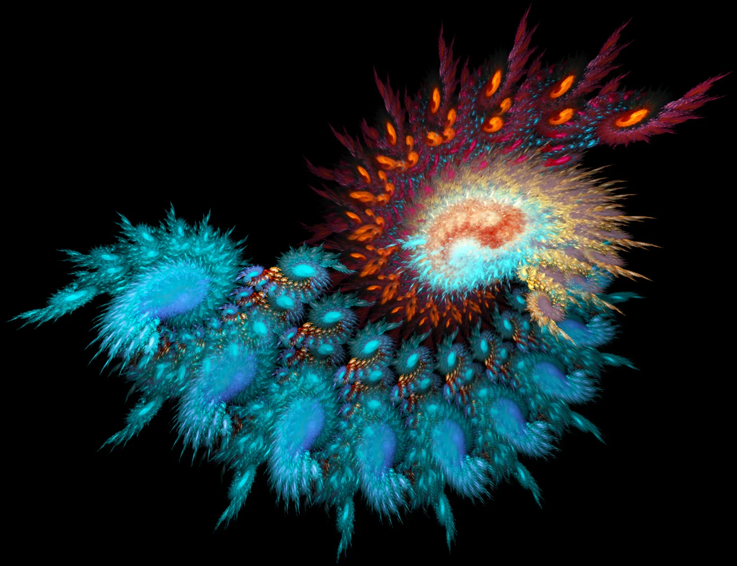 Fractal No. 41 © Kelly Naylor 2009