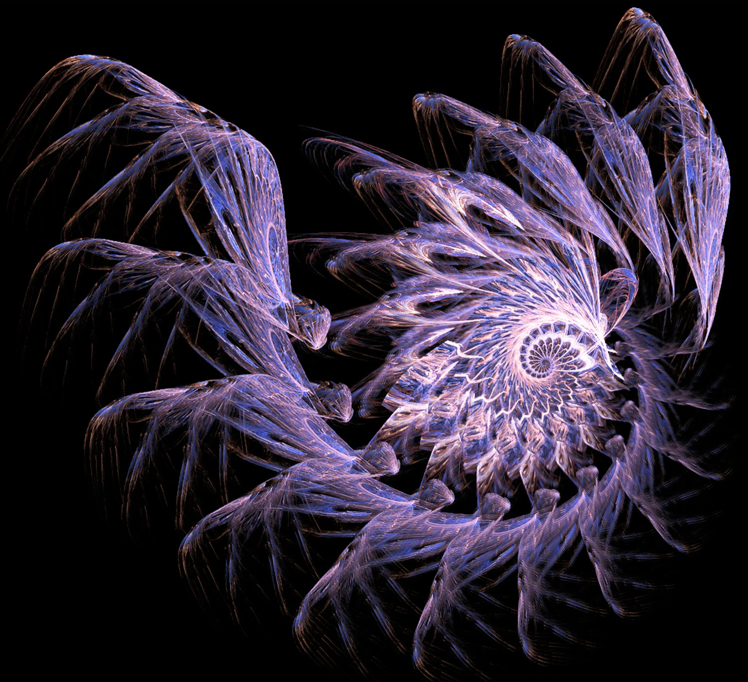 Fractal No. 40 © Kelly Naylor 2009