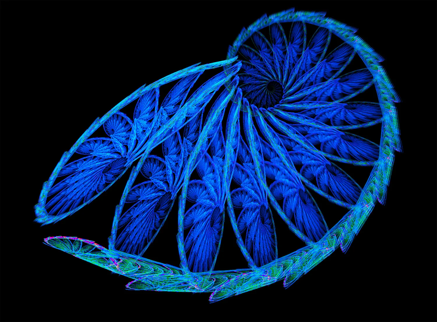 Fractal No. 37 © Kelly Naylor 2009