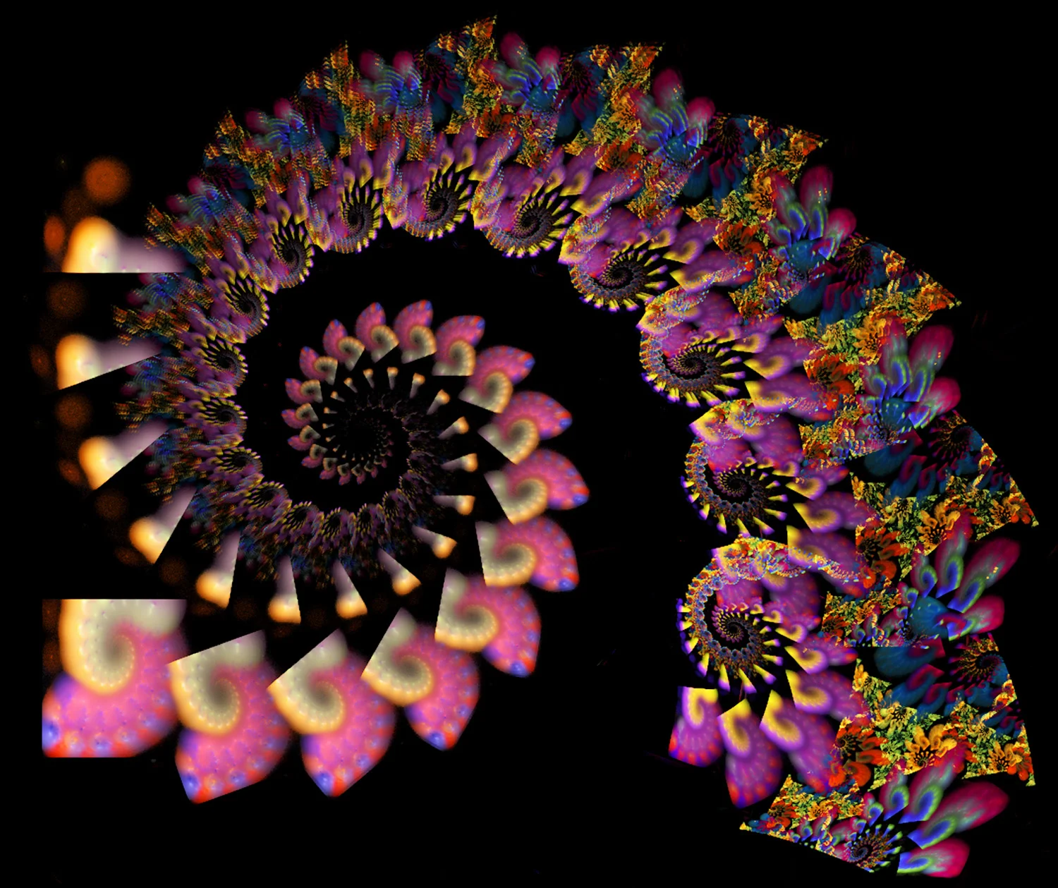 Fractal No. 36 © Kelly Naylor 2009