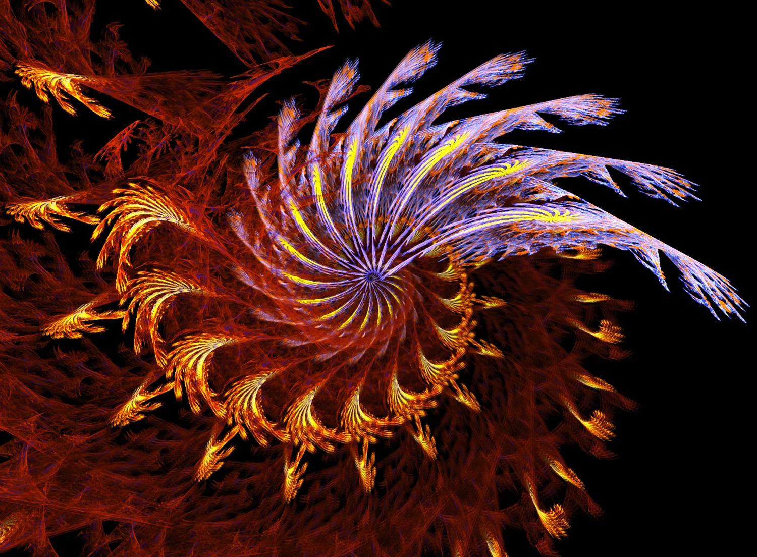 Fractal No. 35 © Kelly Naylor 2009
