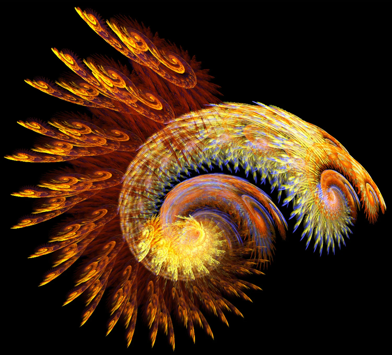 Fractal No. 34 © Kelly Naylor 2009