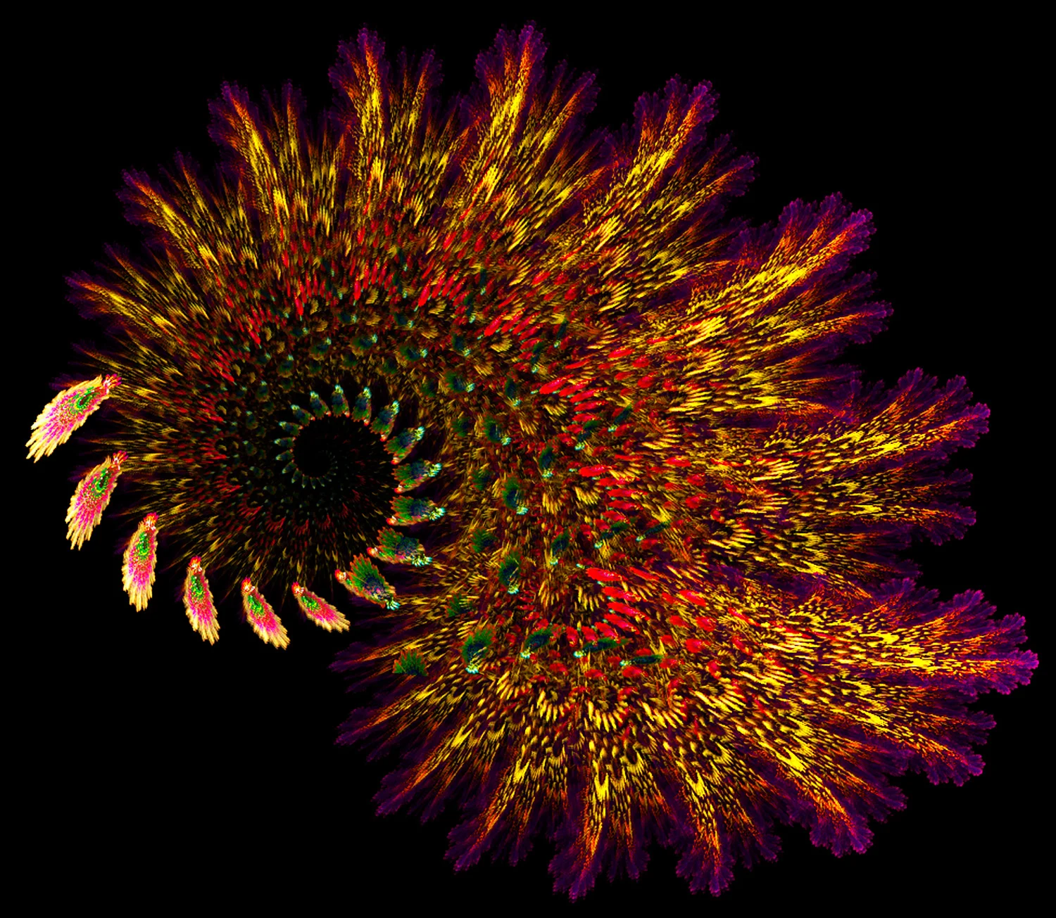 Fractal No. 31 © Kelly Naylor 2009