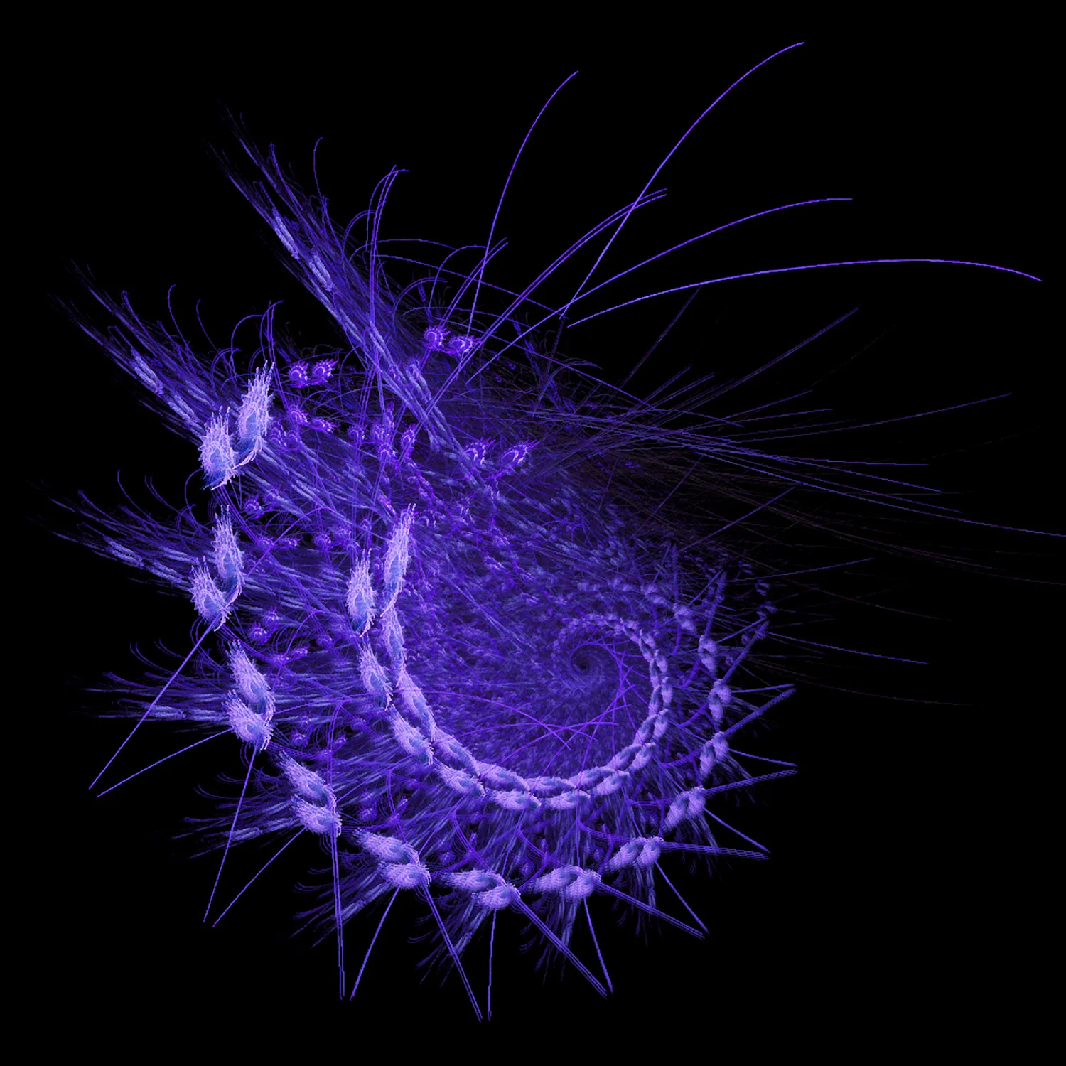 Fractal No. 30 © Kelly Naylor 2009