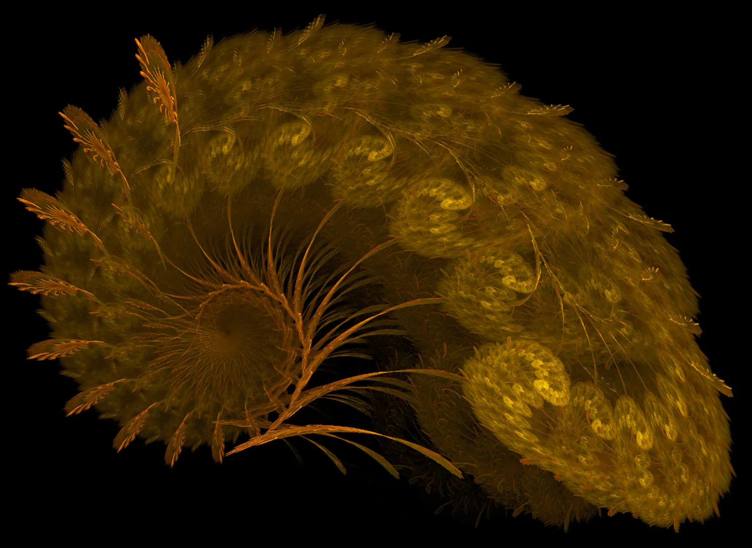 Fractal No. 29 © Kelly Naylor 2009