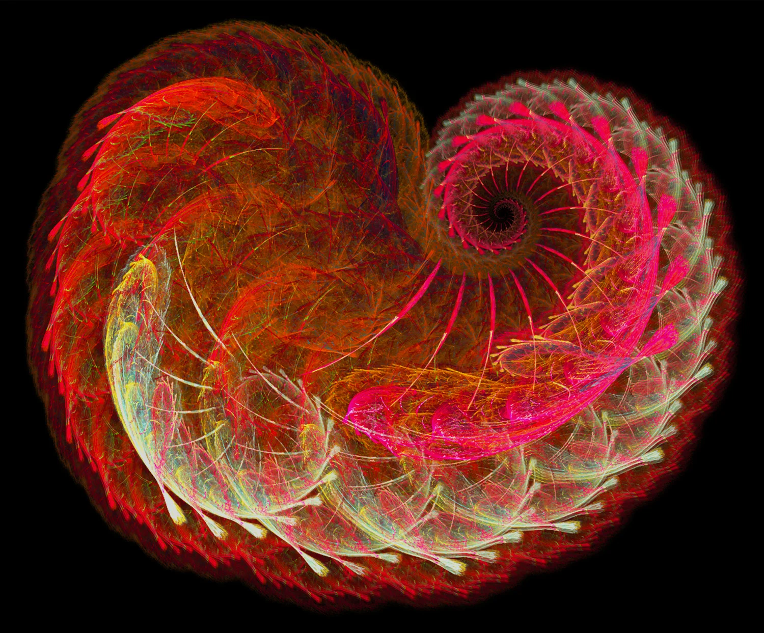 Fractal No. 28 © Kelly Naylor 2009