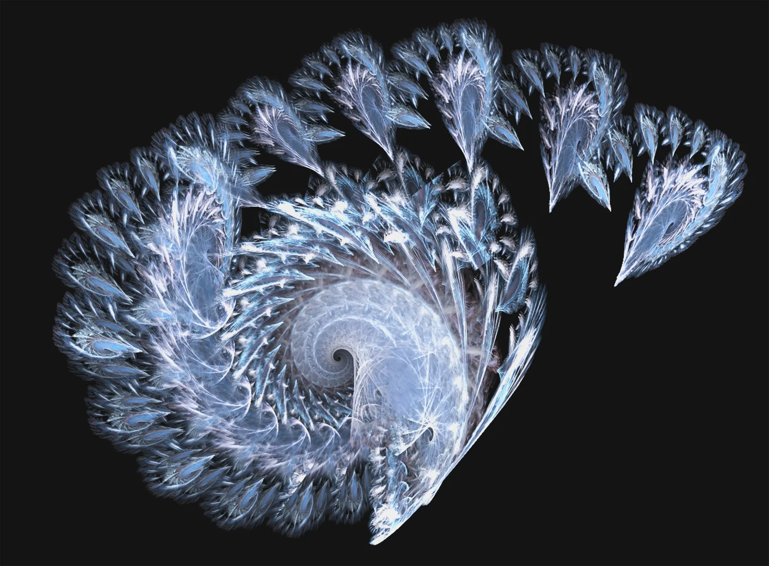 Fractal No. 27 © Kelly Naylor 2009