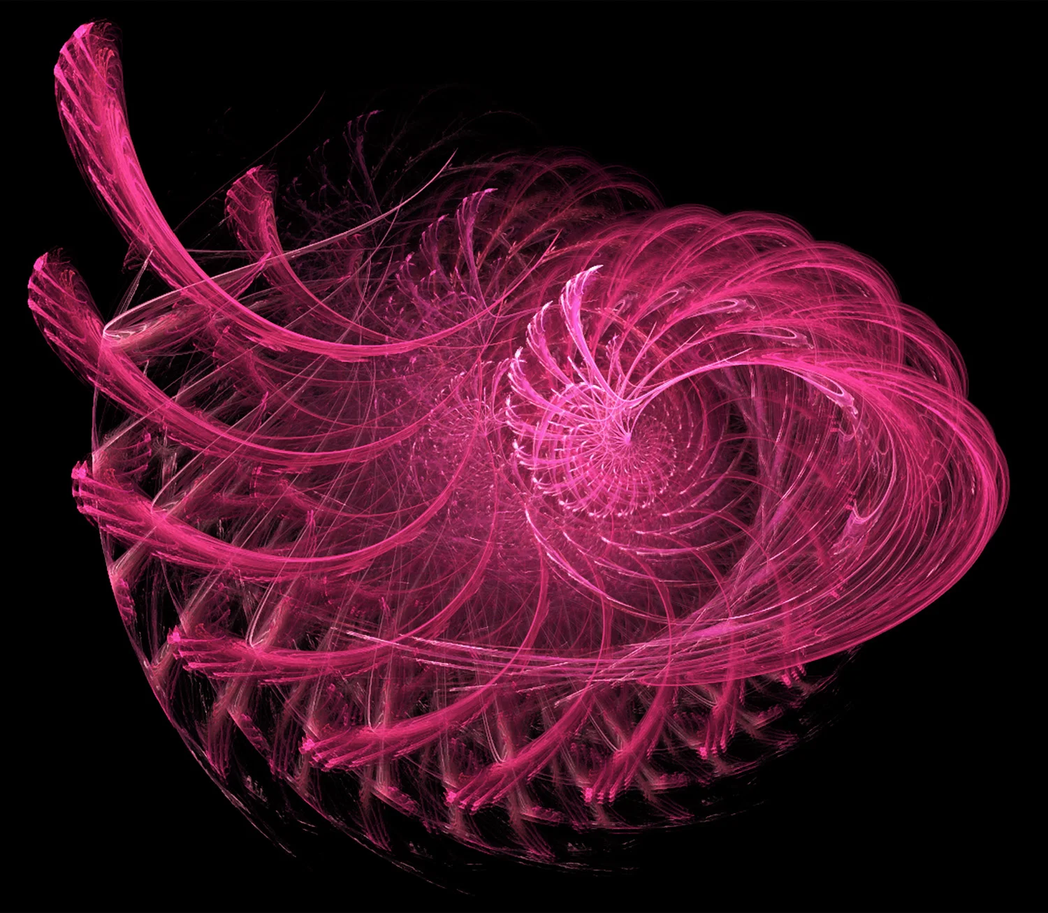 Fractal No. 25 © Kelly Naylor 2009