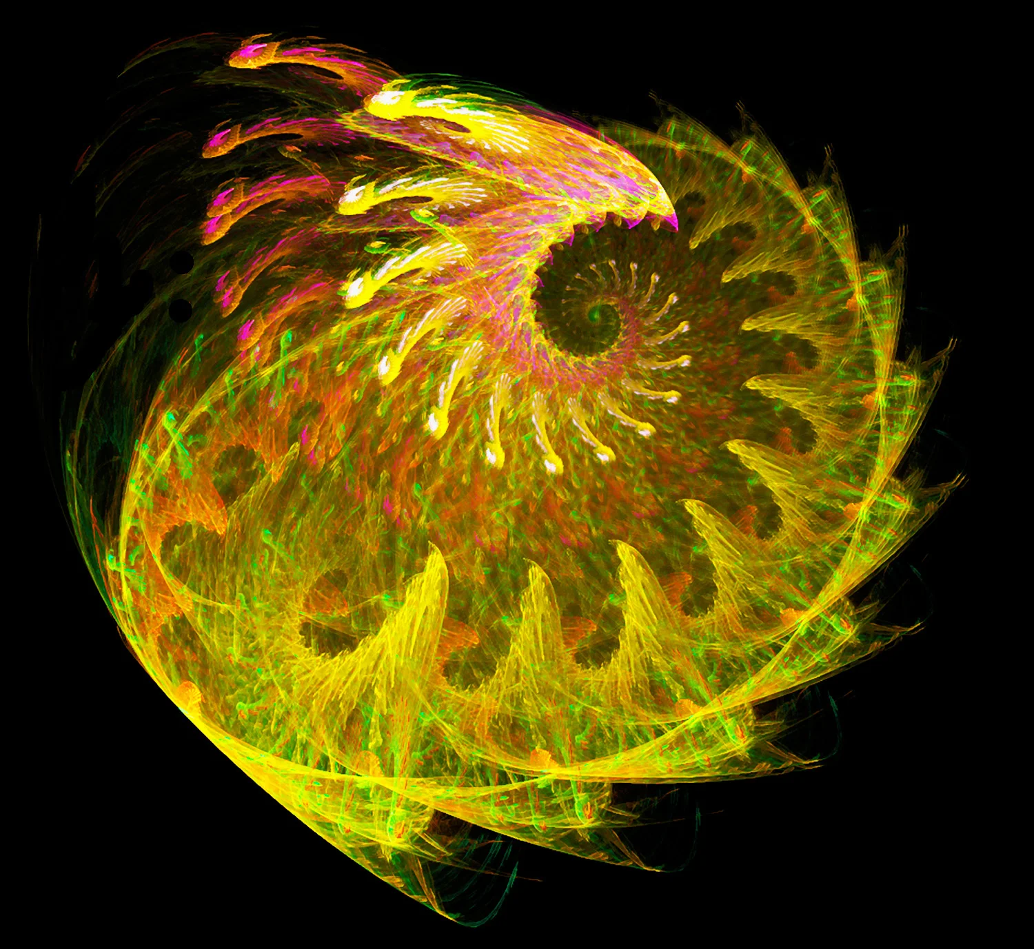 Fractal No. 22 © Kelly Naylor 2009