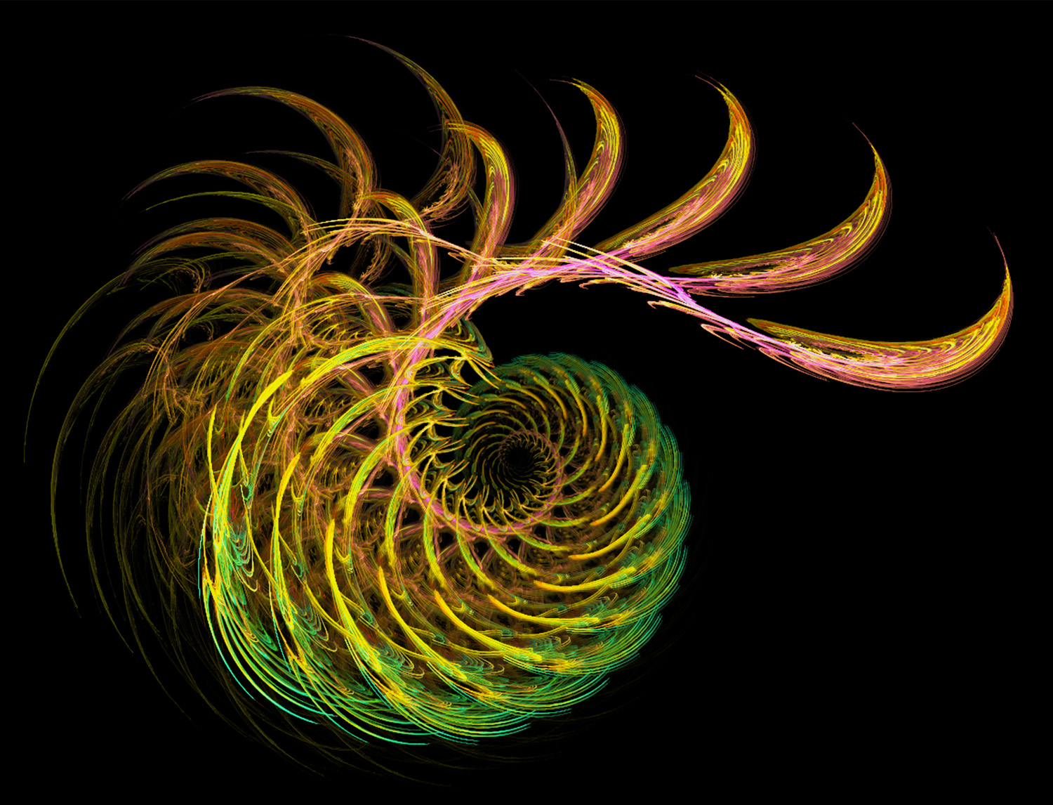 Fractal No. 21 © Kelly Naylor 2009